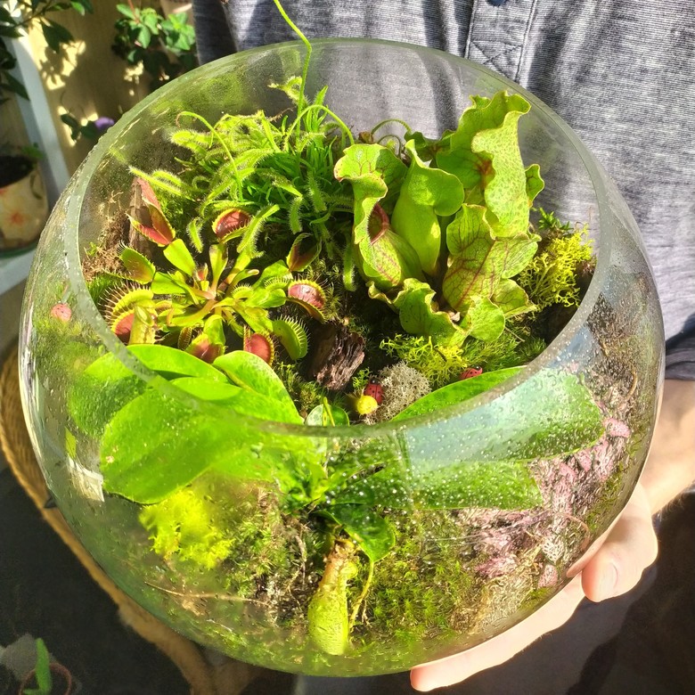 Хищная ферма №3