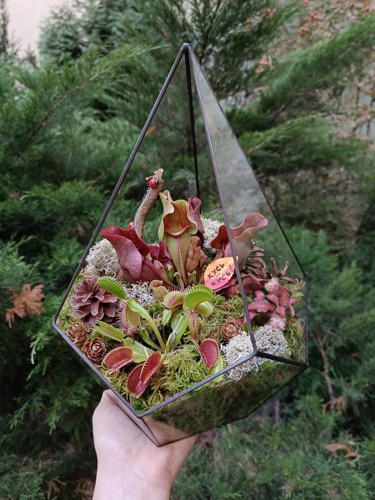 Хищная ферма №1 в капле L