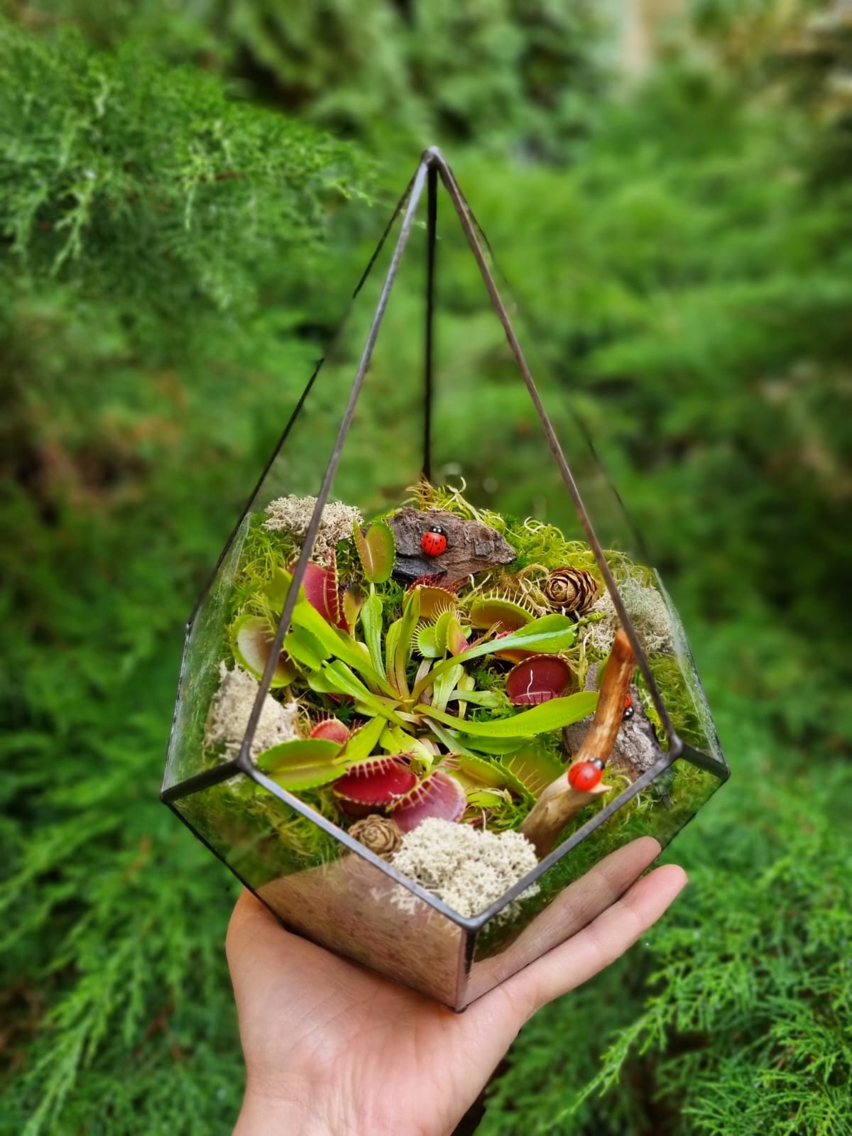 Хищник в капле М