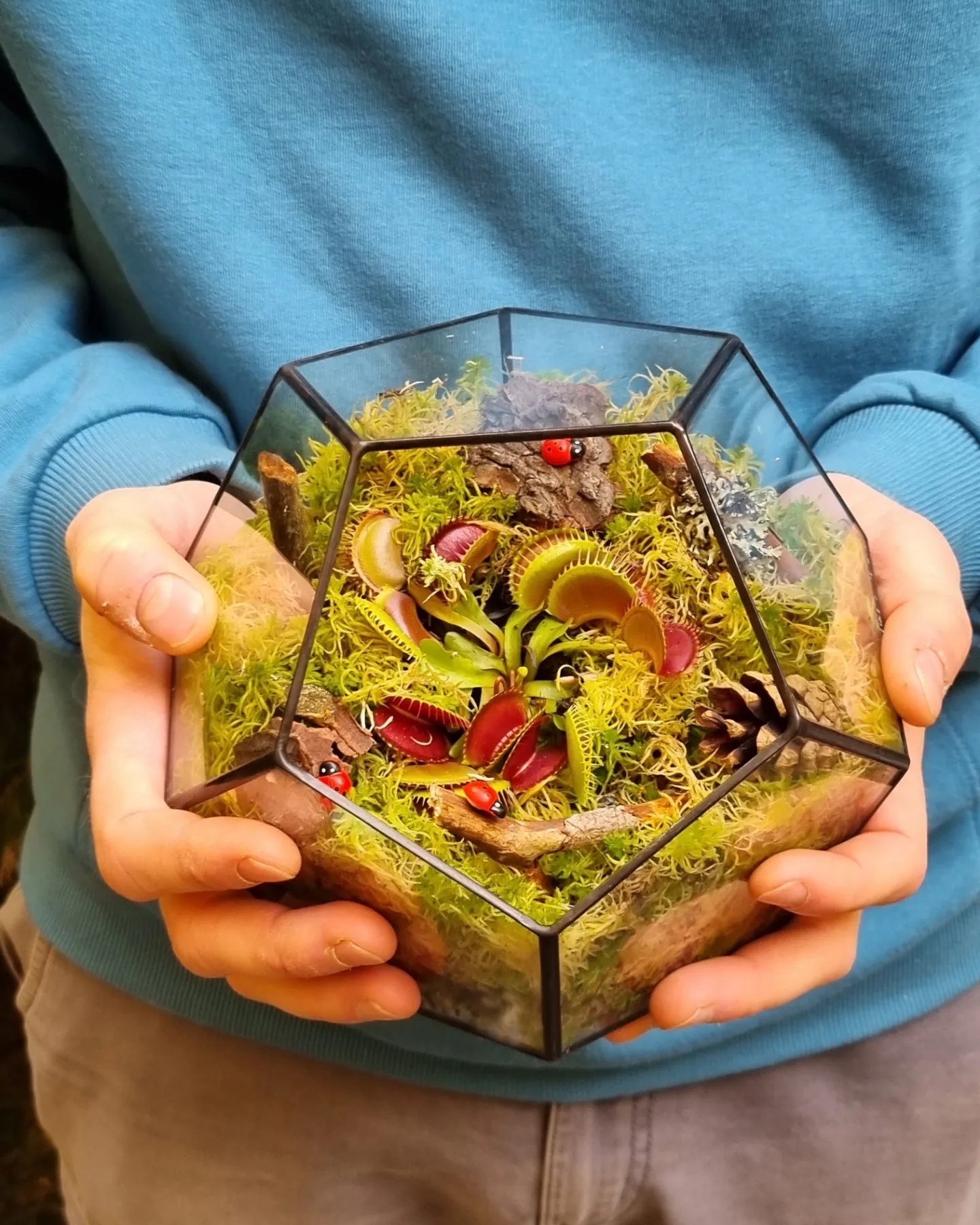 Хищник в додекаэдре M