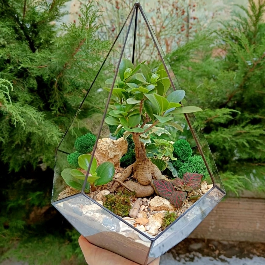 Бонсай в капле L "Forest"