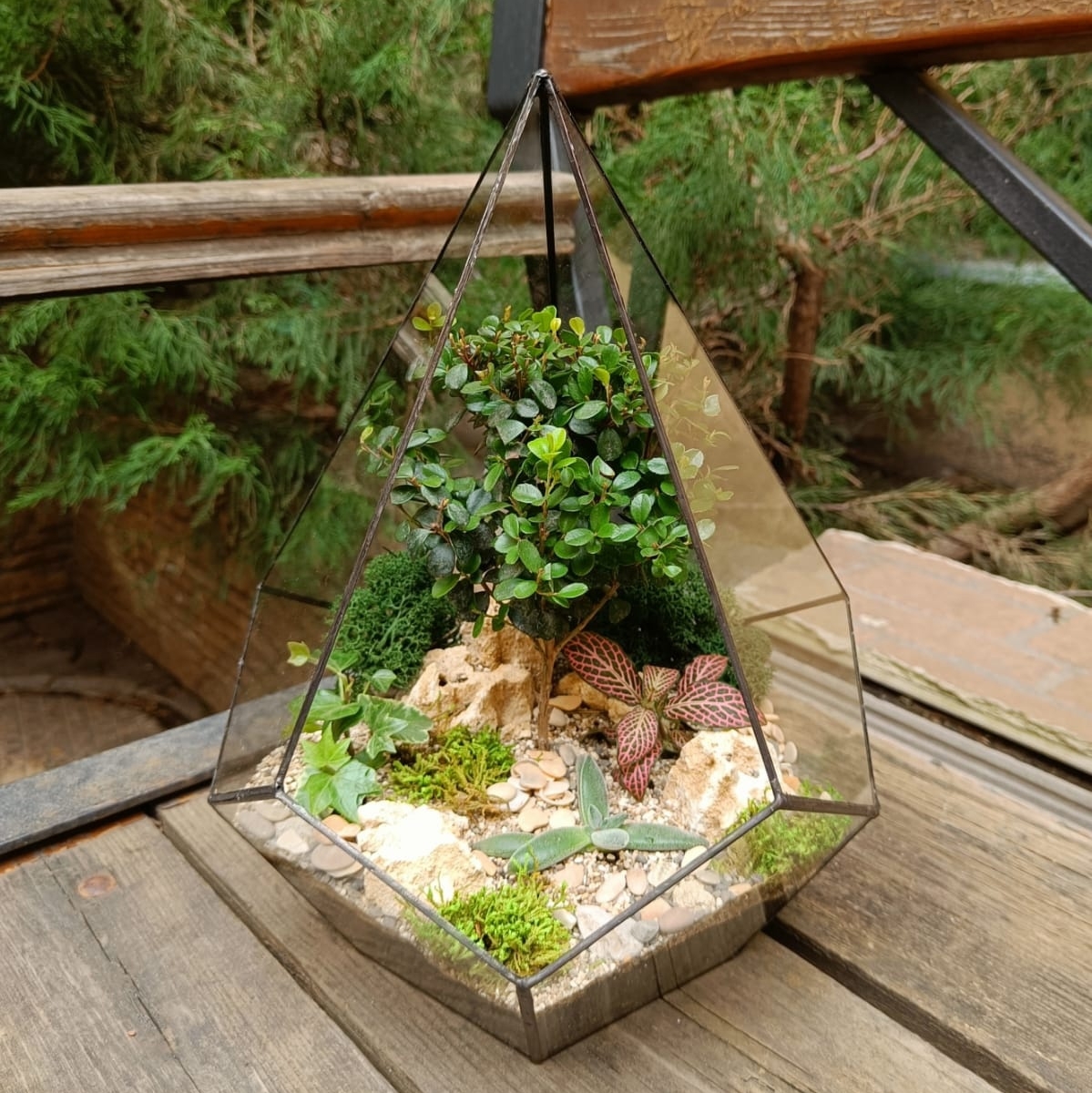 Бонсай в капле L "Forest"