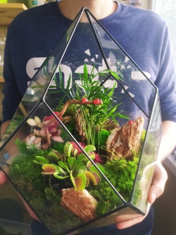 Хищные тропики в ромбе L