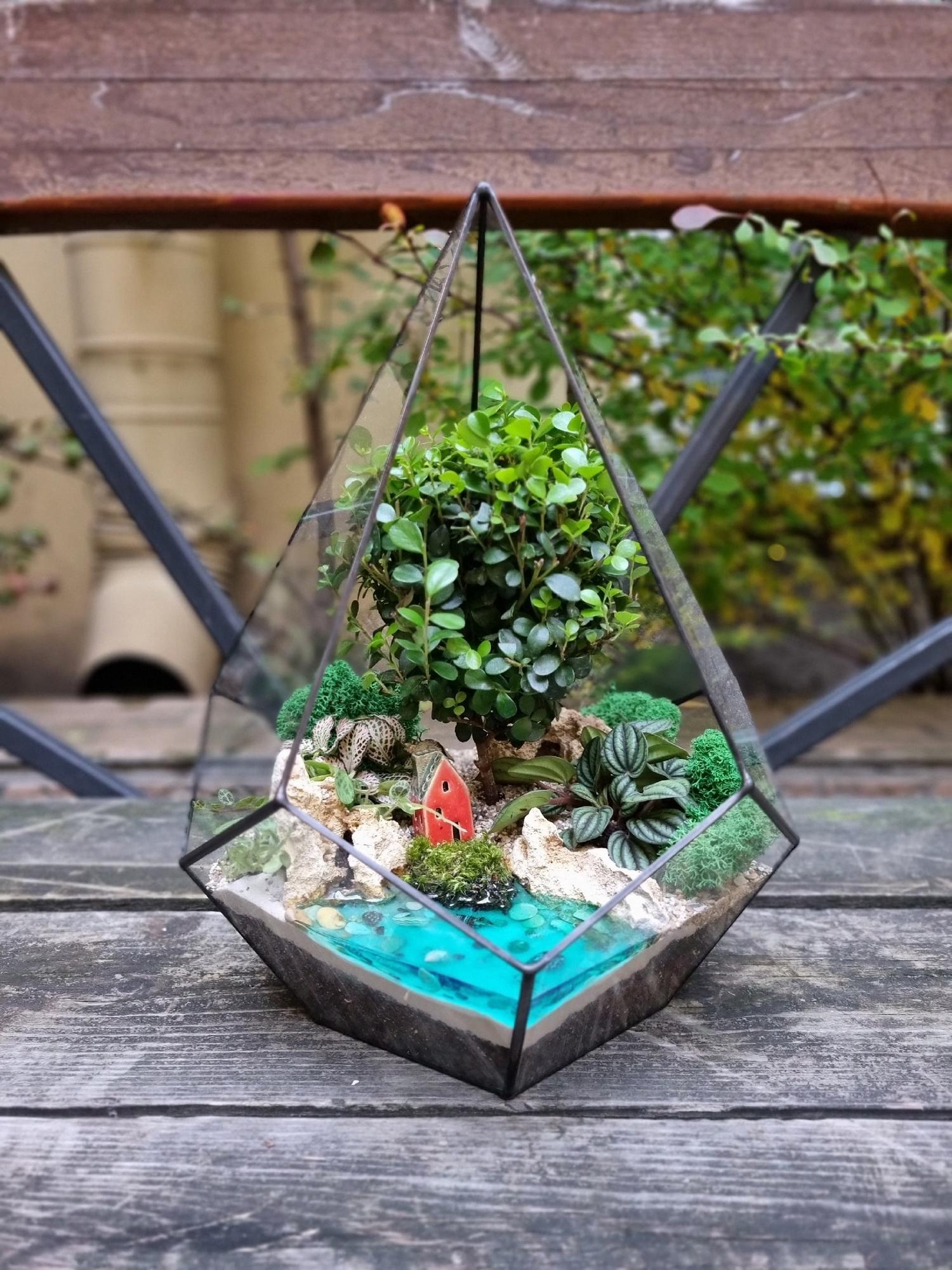 Бонсай в капле L с имитацией воды