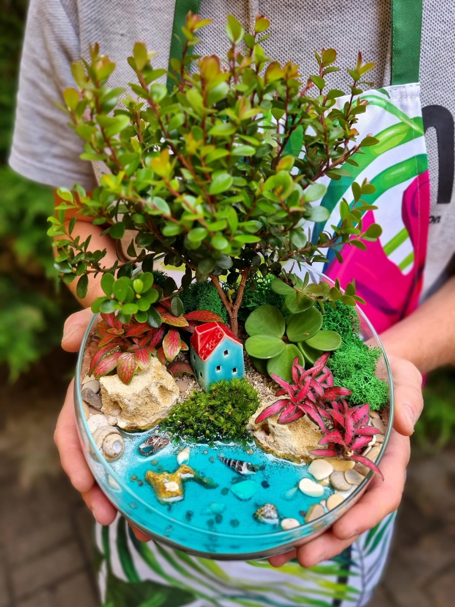 Бонсай в сфере L с имитацией воды