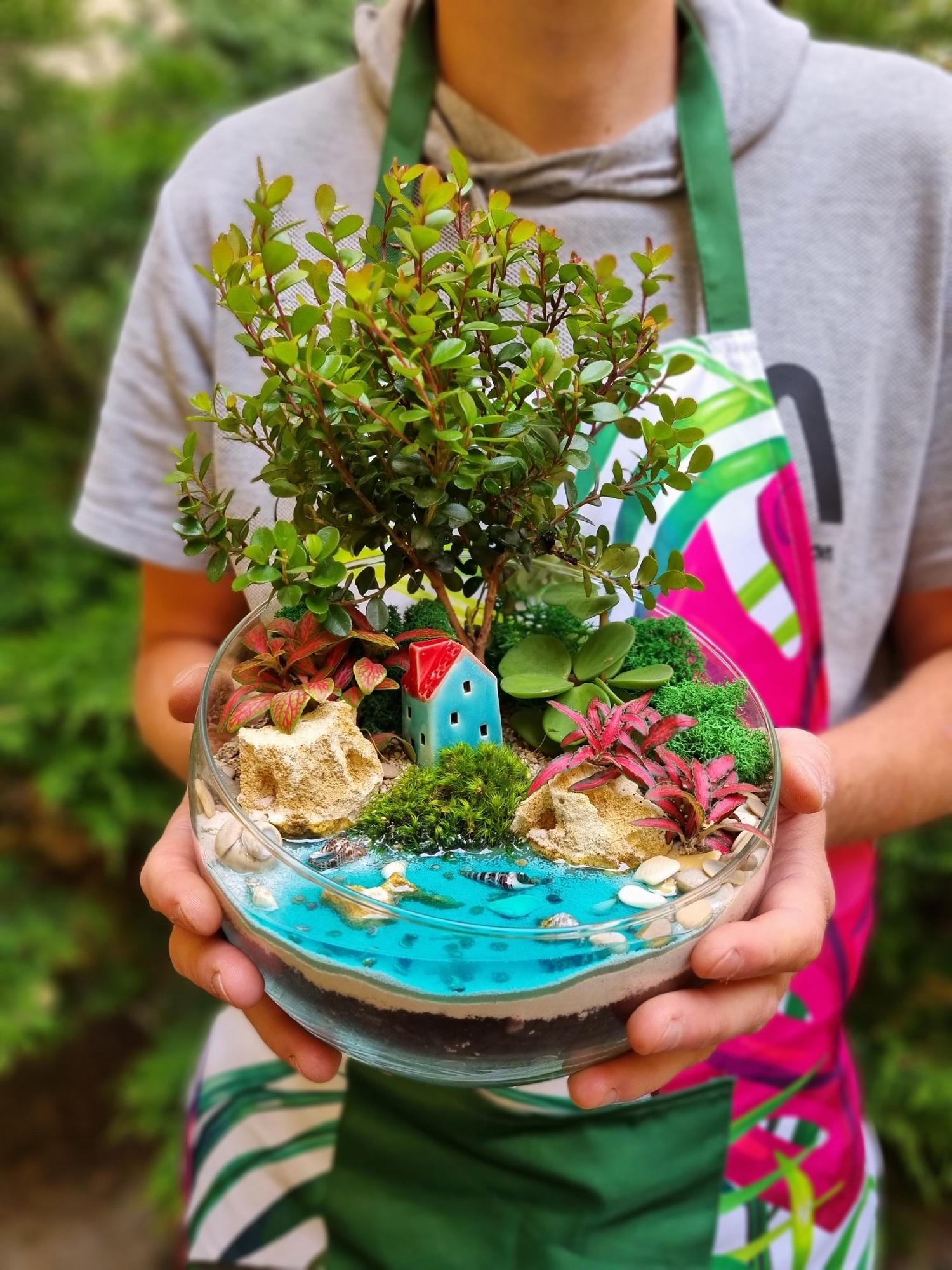 Бонсай в сфере L с имитацией воды