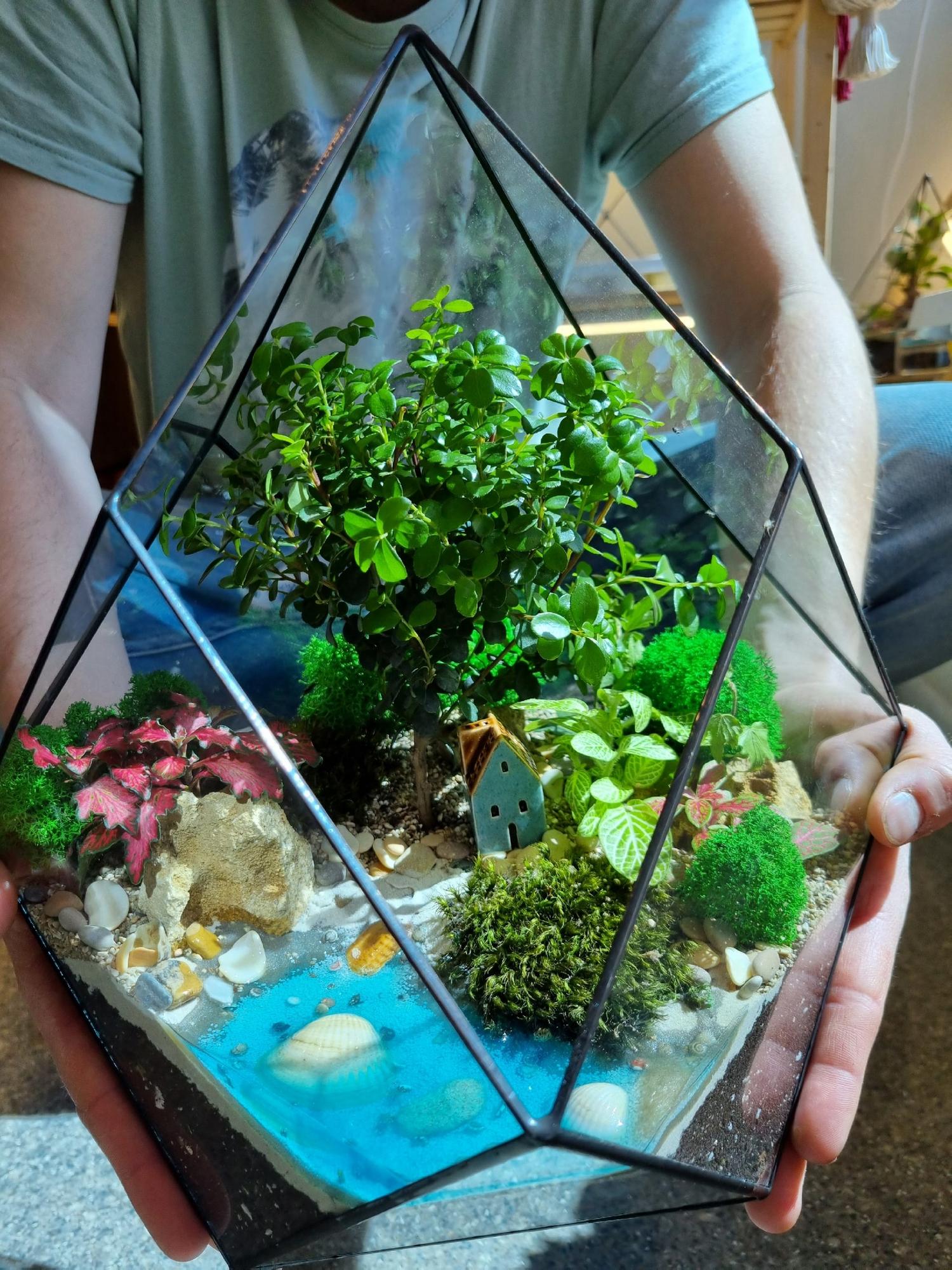 Бонсай в ромбе L с имитацией воды