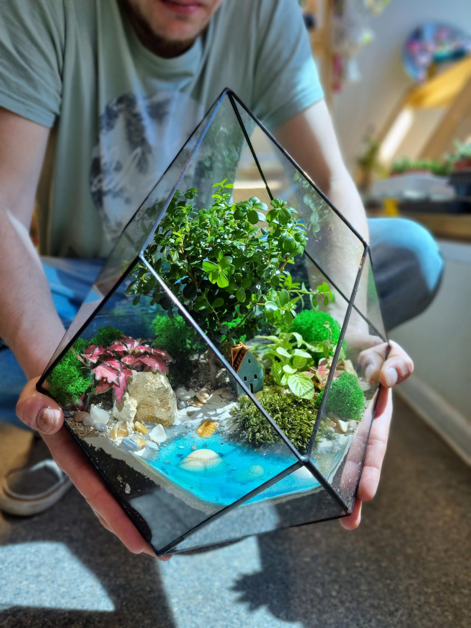 Бонсай в ромбе L с имитацией воды