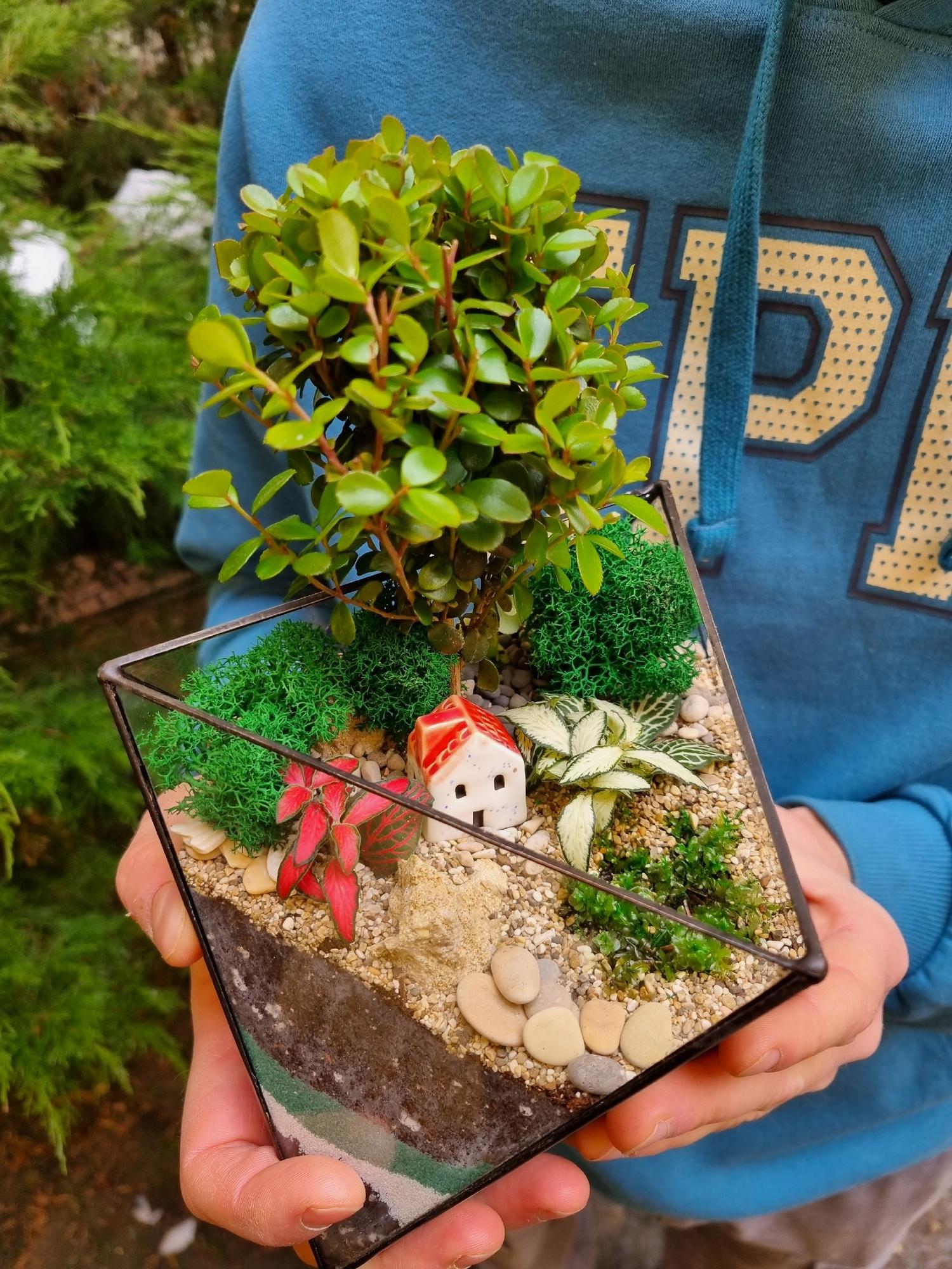 Бонсай в октаэдре