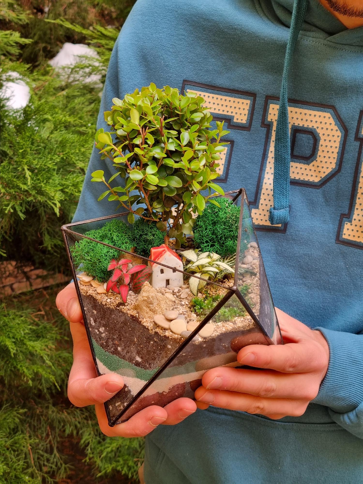 Бонсай в октаэдре