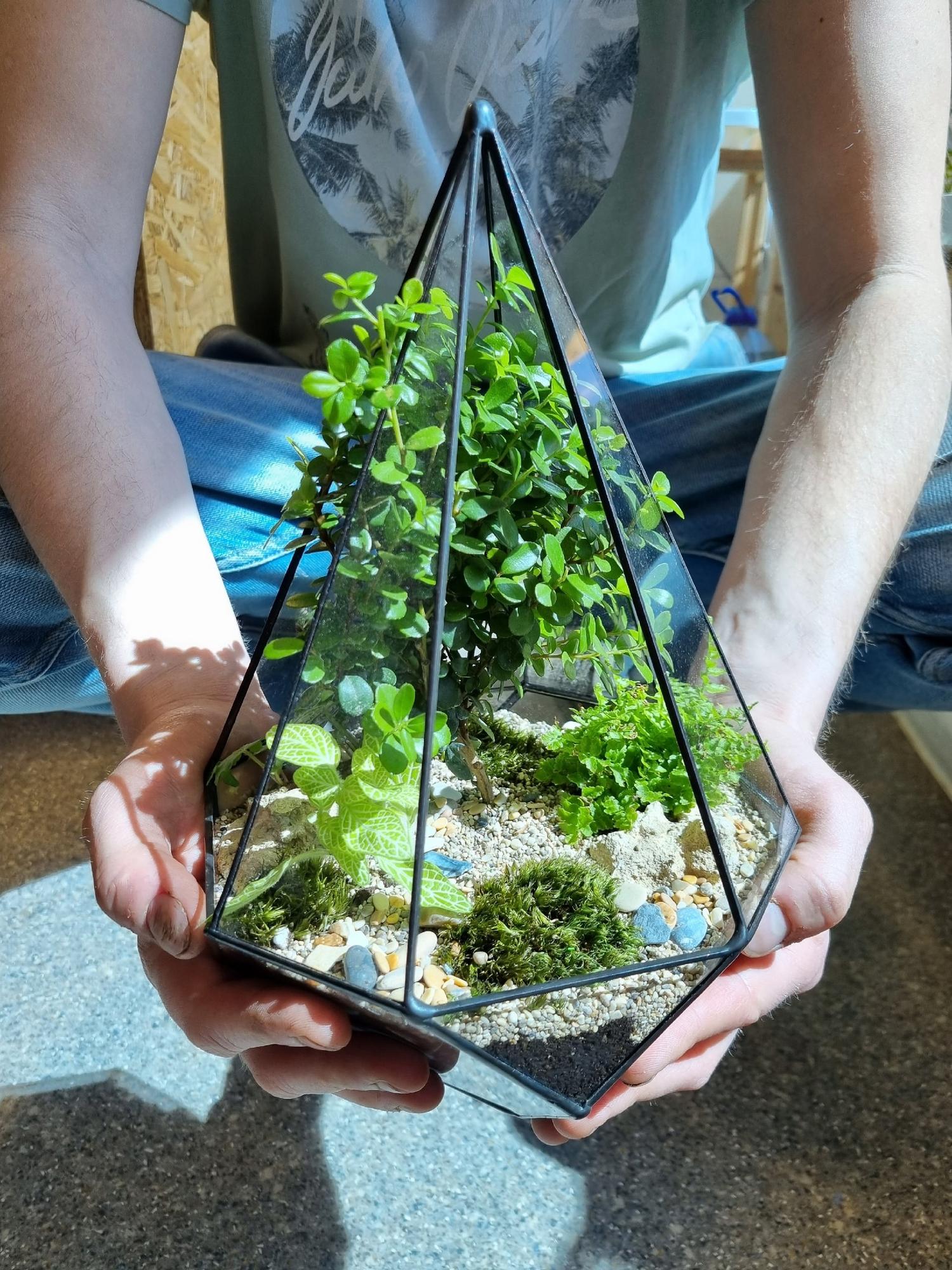 Бонсай в резной капле