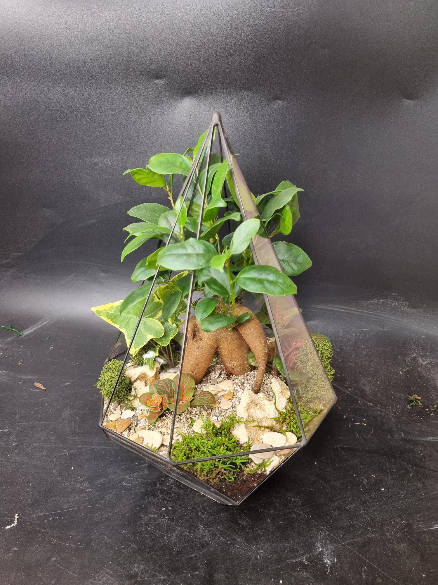 Бонсай в резной капле