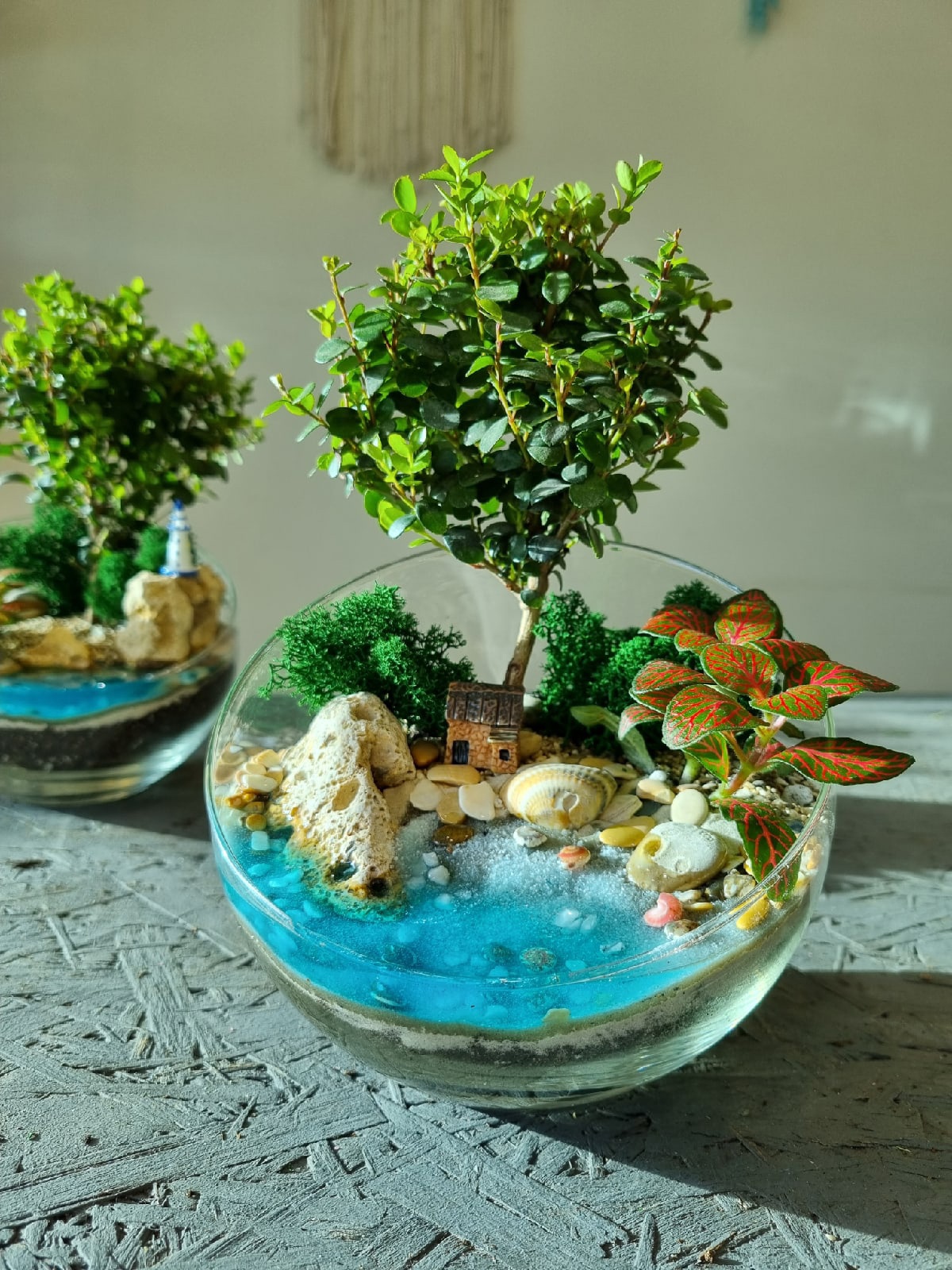 Бонсай Мирсина в сфере М с имитацией воды