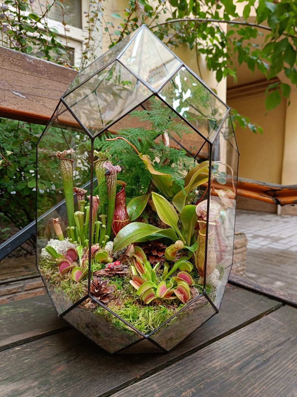 Хищная ферма в Андромеде