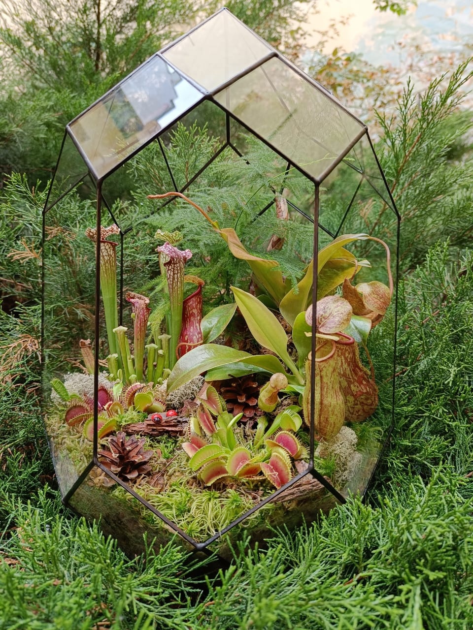 Хищная ферма в Андромеде