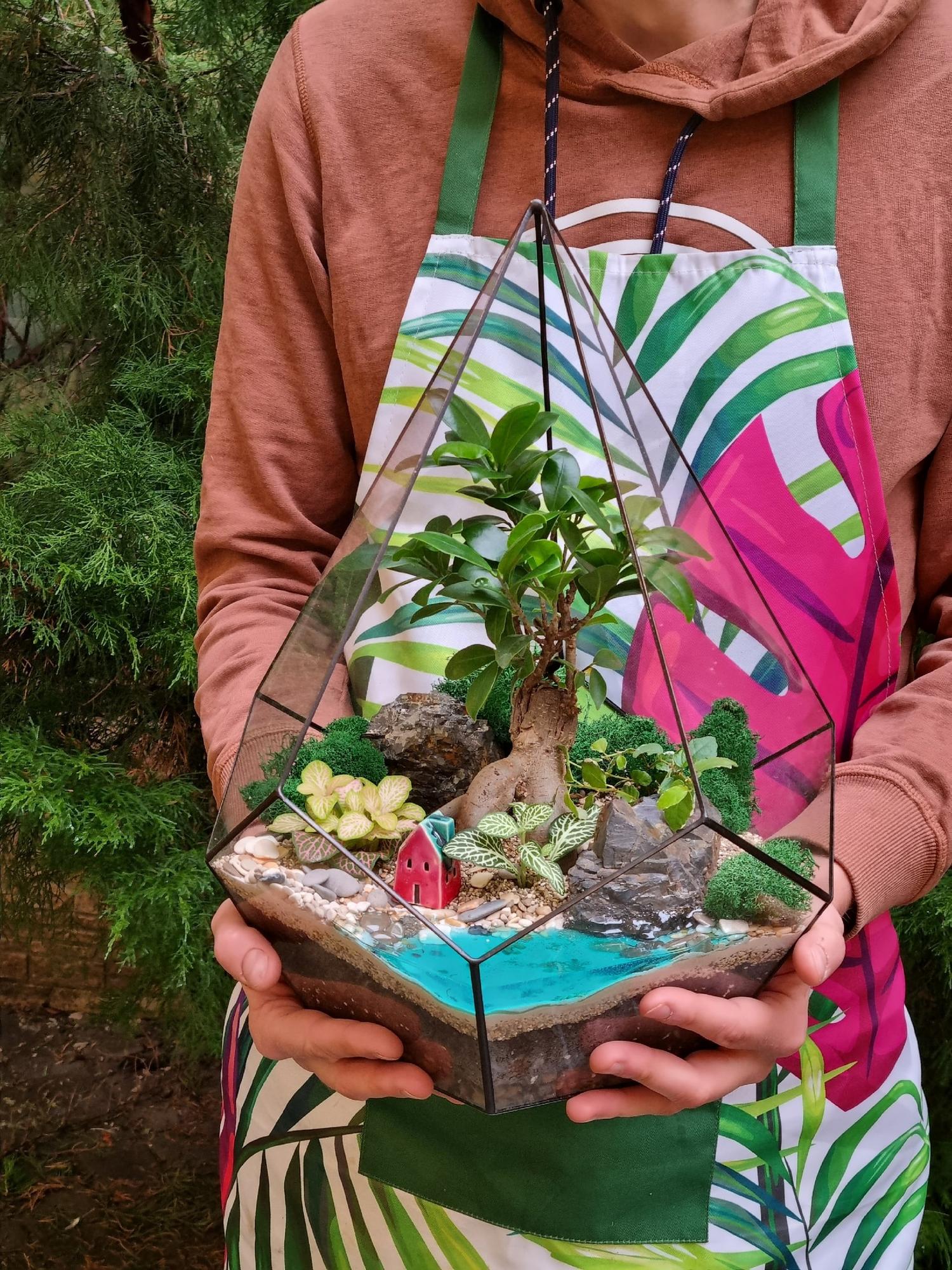 Бонсай в капле XL