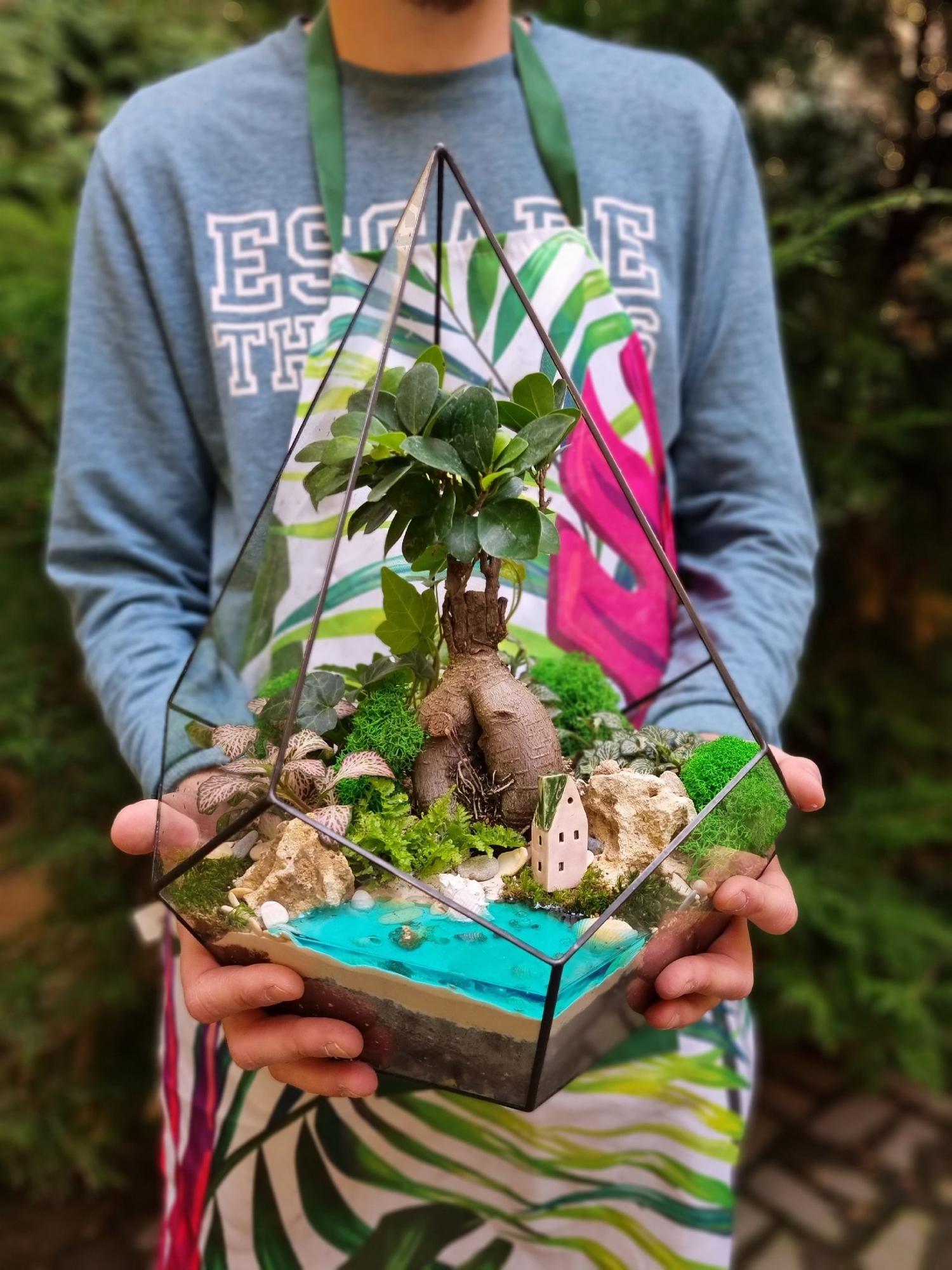 Бонсай в капле XL