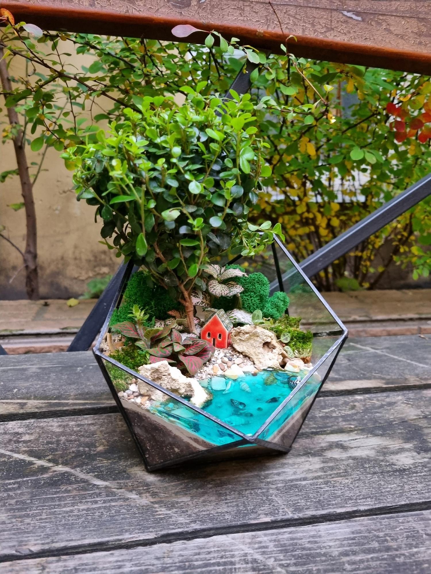 Бонсай в икосаэдре M с имитацией воды