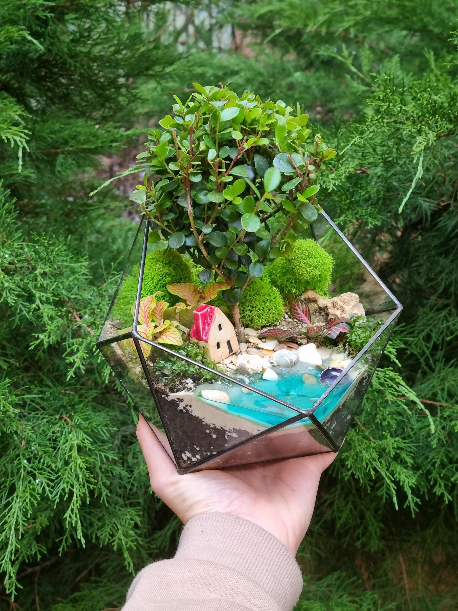 Бонсай в икосаэдре M с имитацией воды