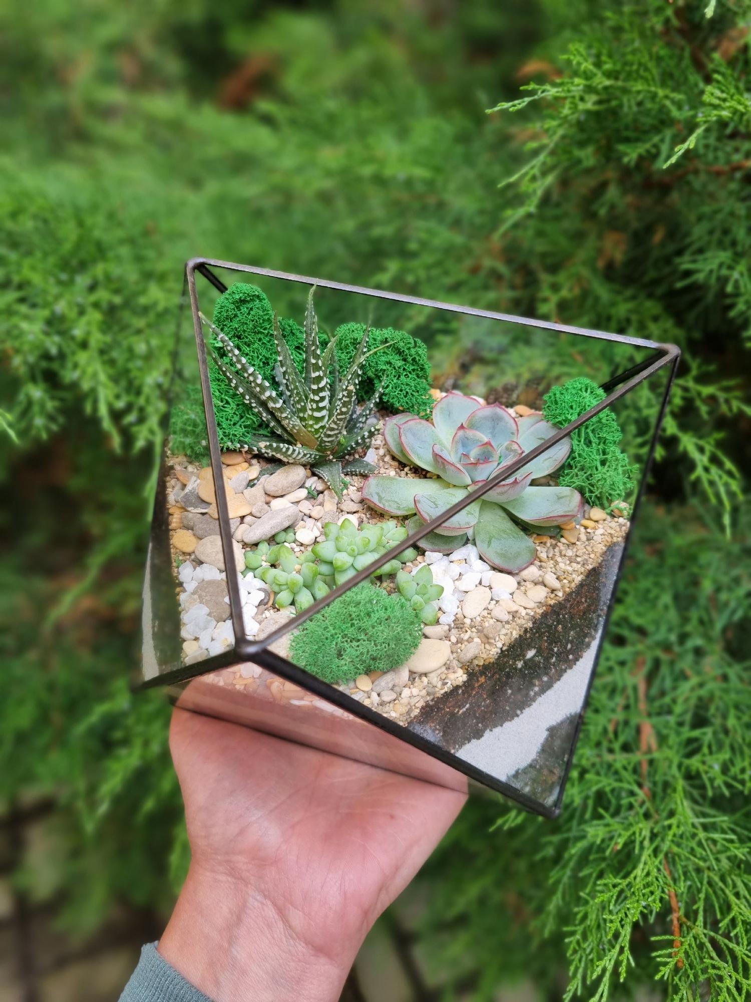 Набор "Суккуленты в октаэдре"