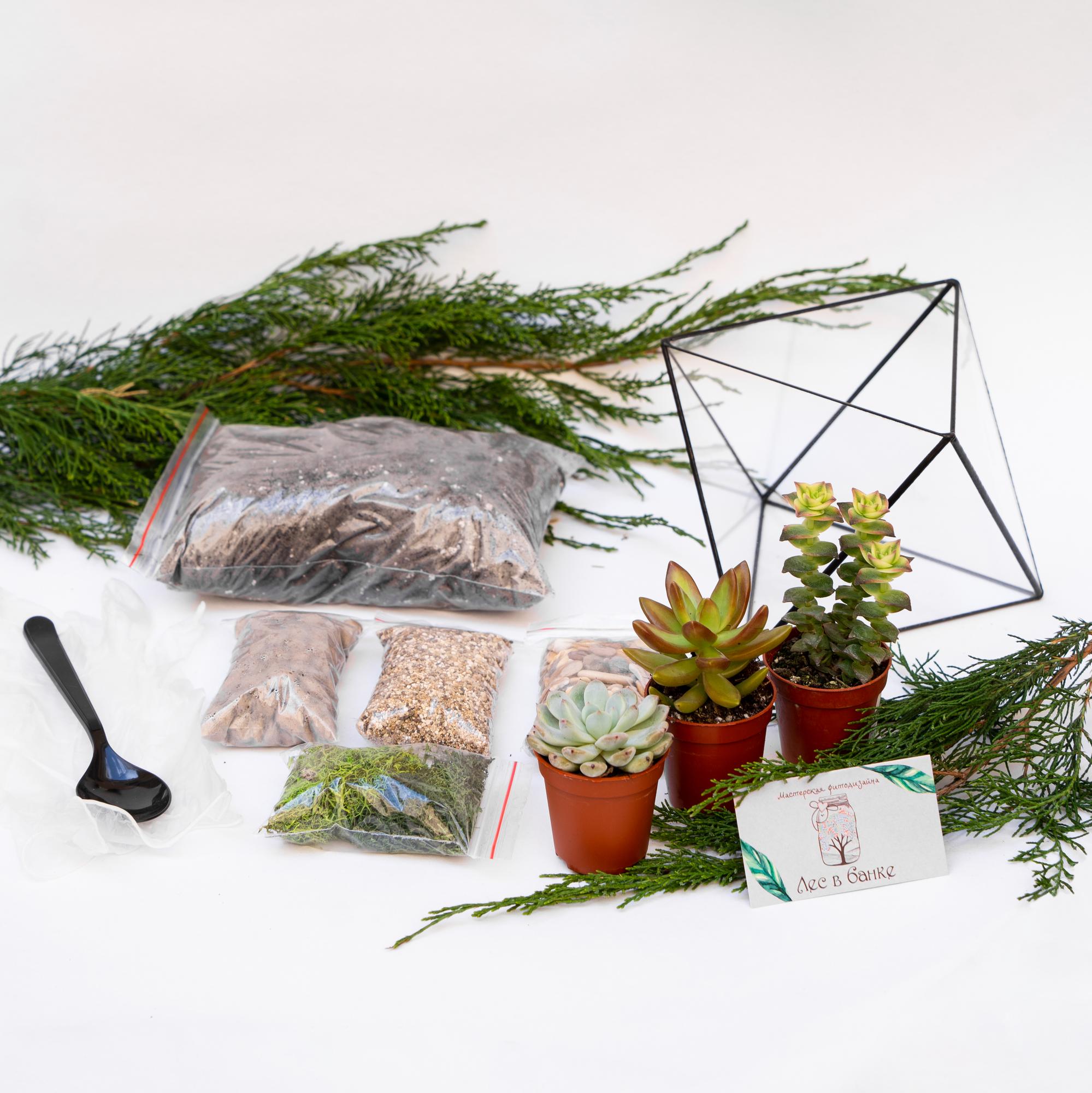 Набор "Суккуленты в октаэдре"