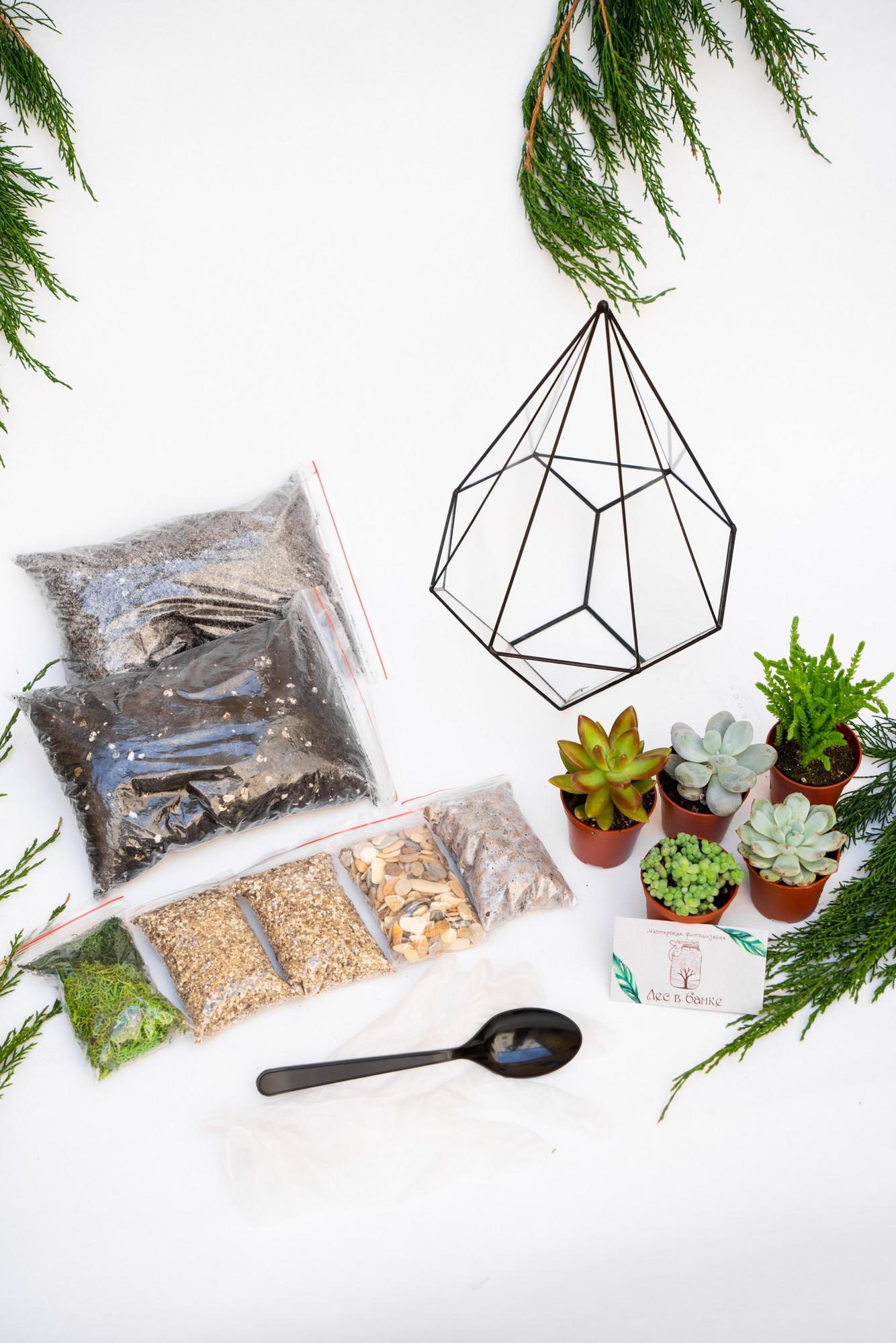 Набор "Суккуленты в резной капле"