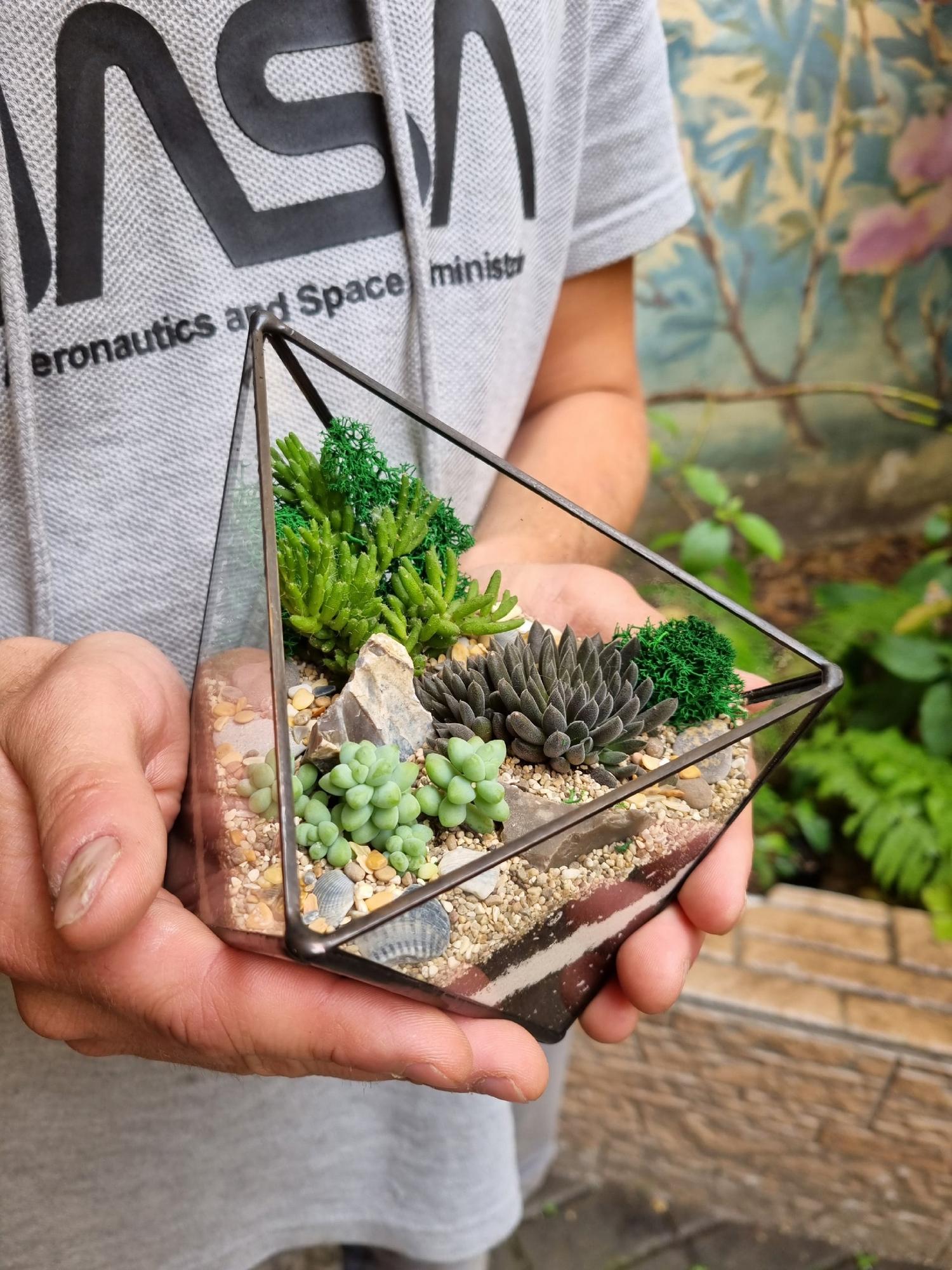 Вытянутый октаэдр с суккулентами