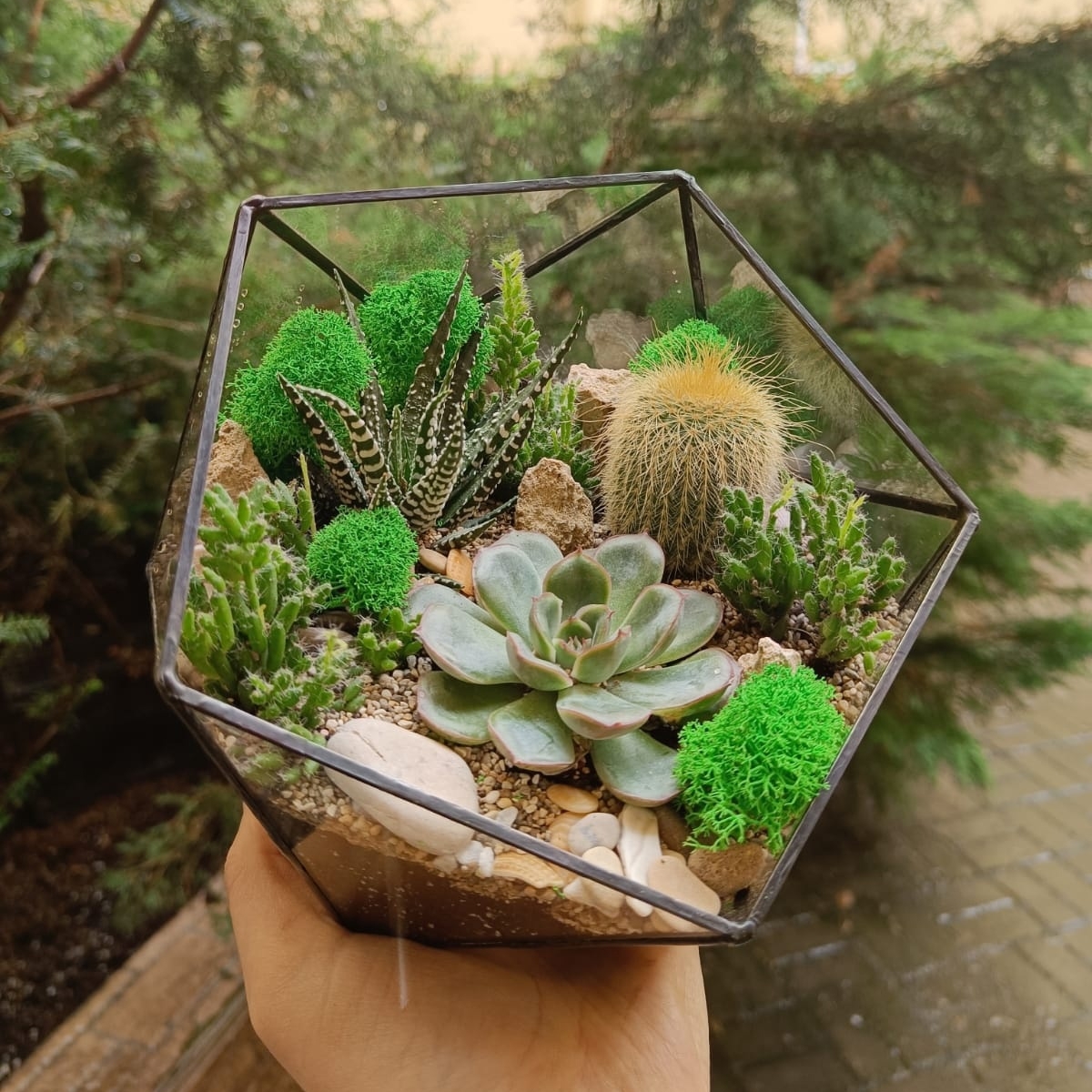 Садик в икосаэдре (размер М)