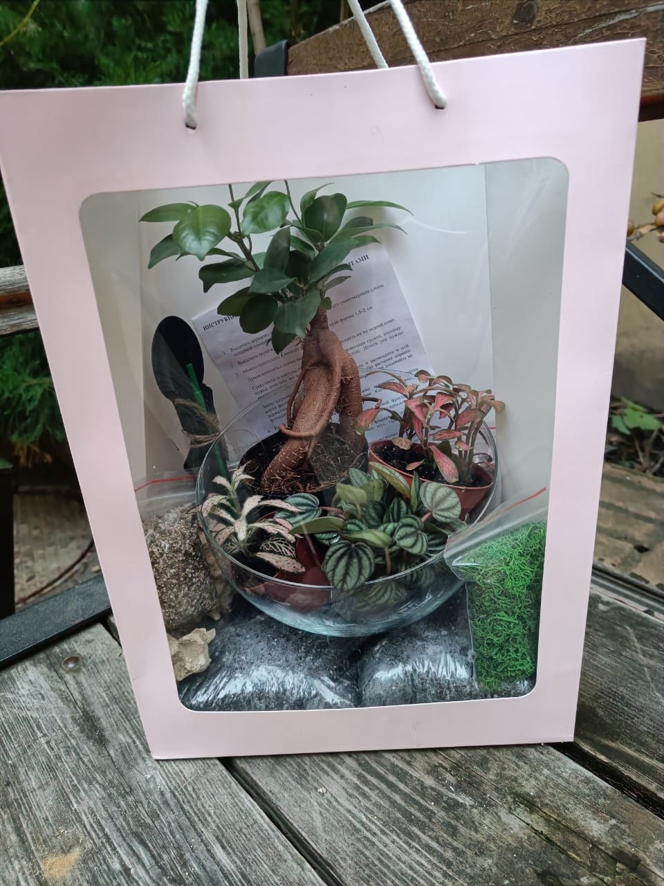 Набор "Бонсай в сфере L"