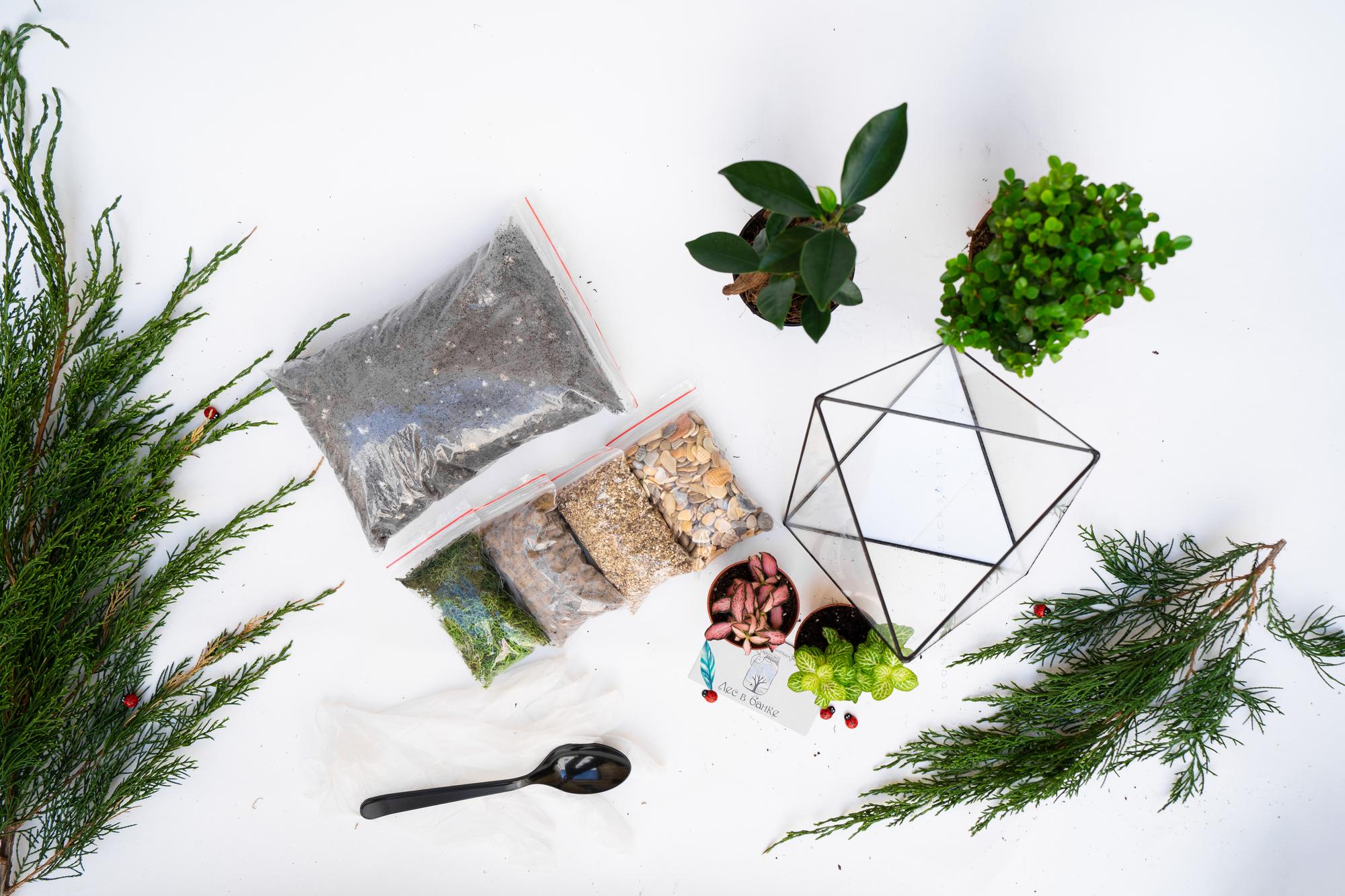 Набор "Бонсай в октаэдре"