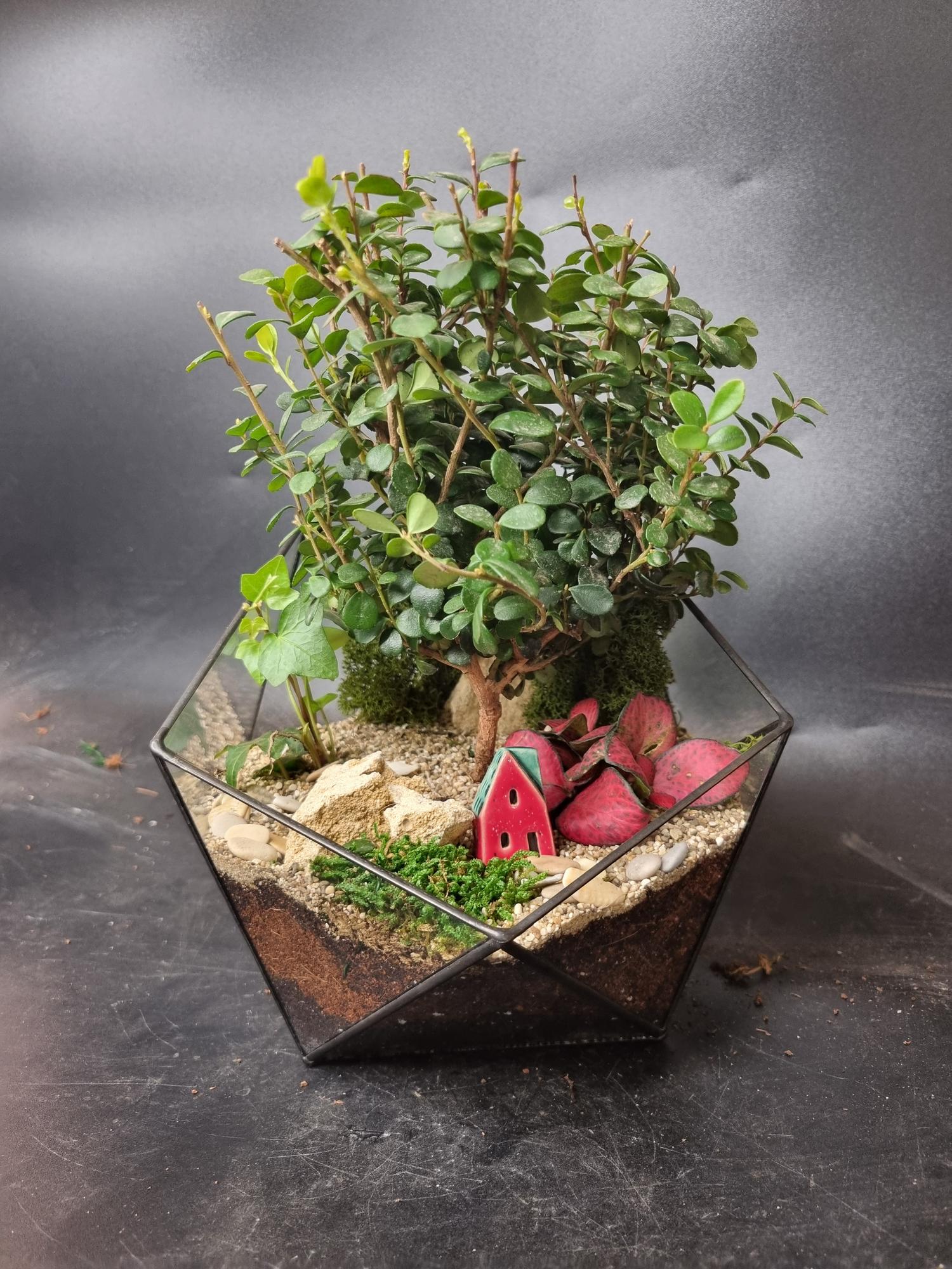 Бонсай в икосаэдре М