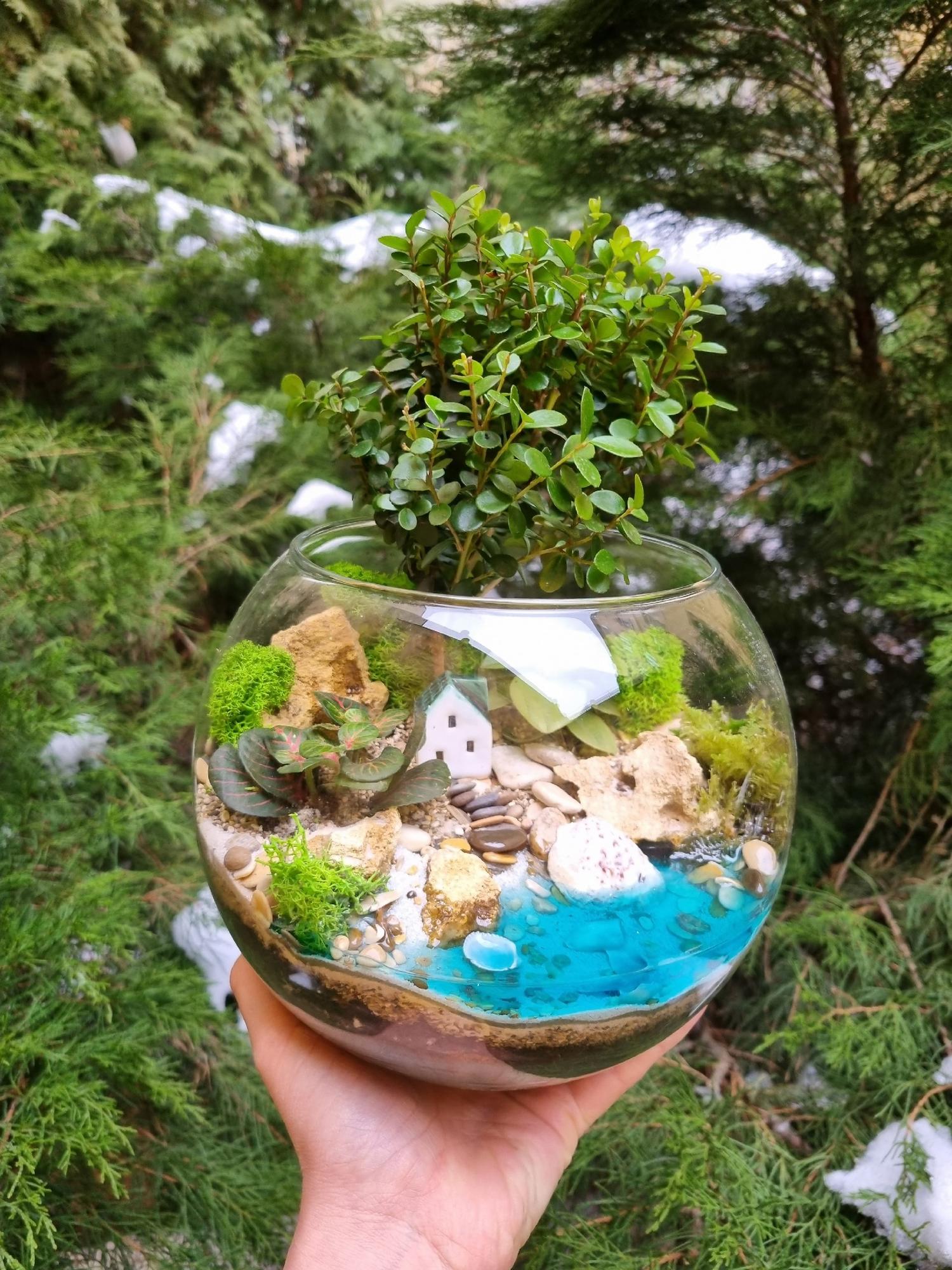 Бонсай в шаре с имитацией воды