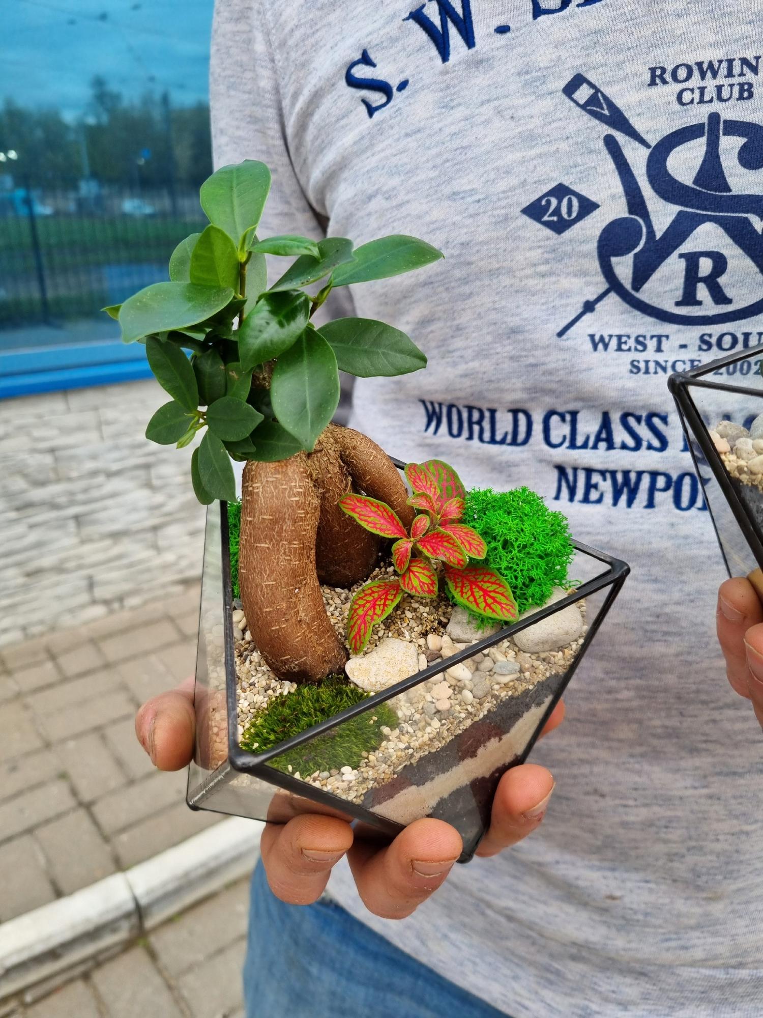 Бонсай в вытянутом октаэдре