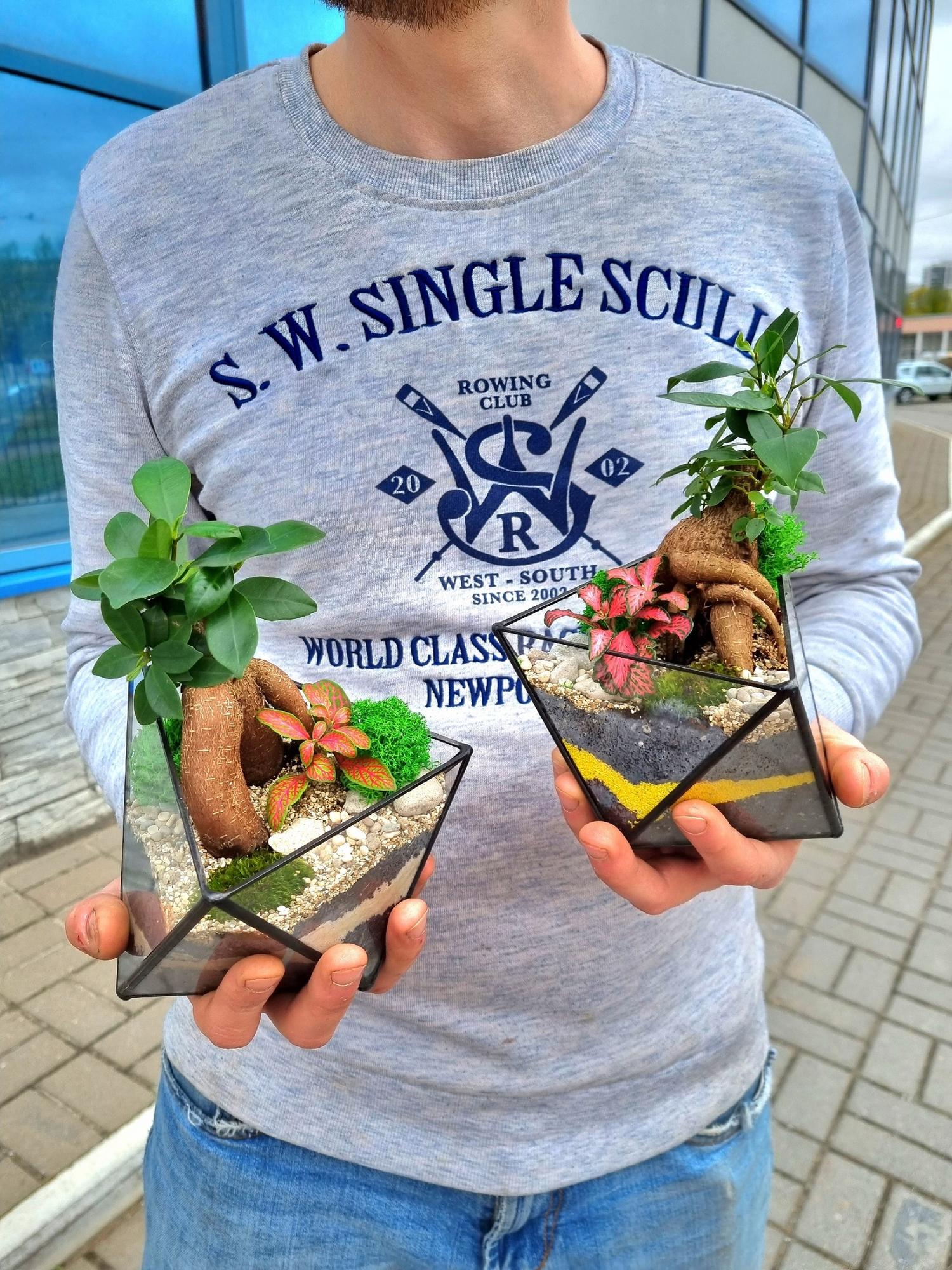 Бонсай в вытянутом октаэдре