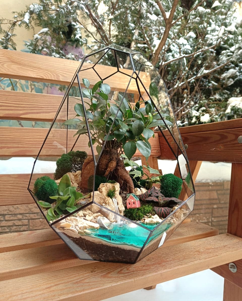 Бонсай в Тюльпане