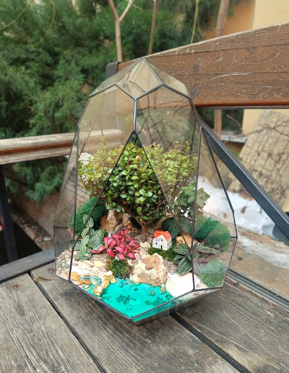 Бонсай в Тюльпане