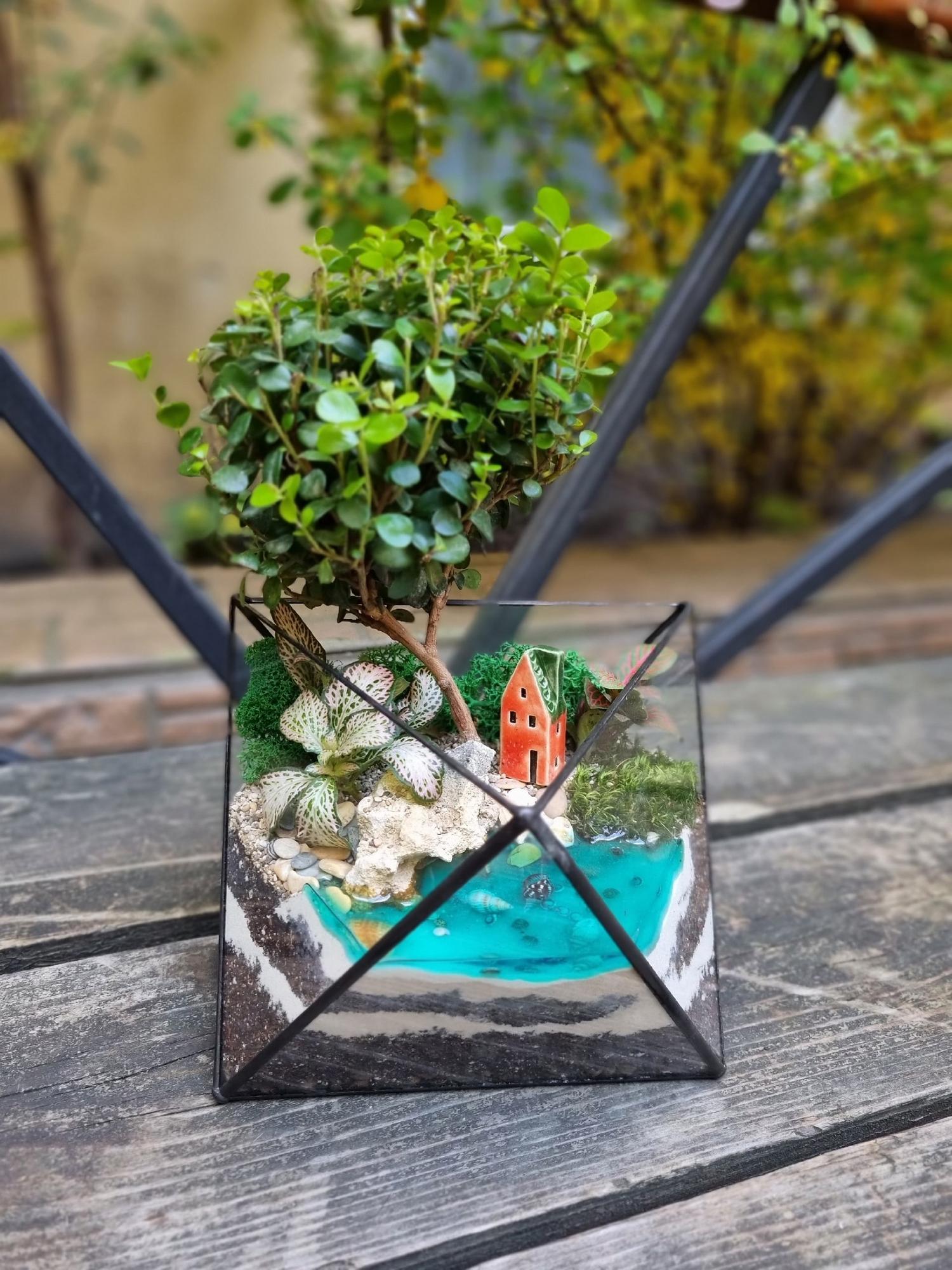 Бонсай в октаэдре с имитацией воды