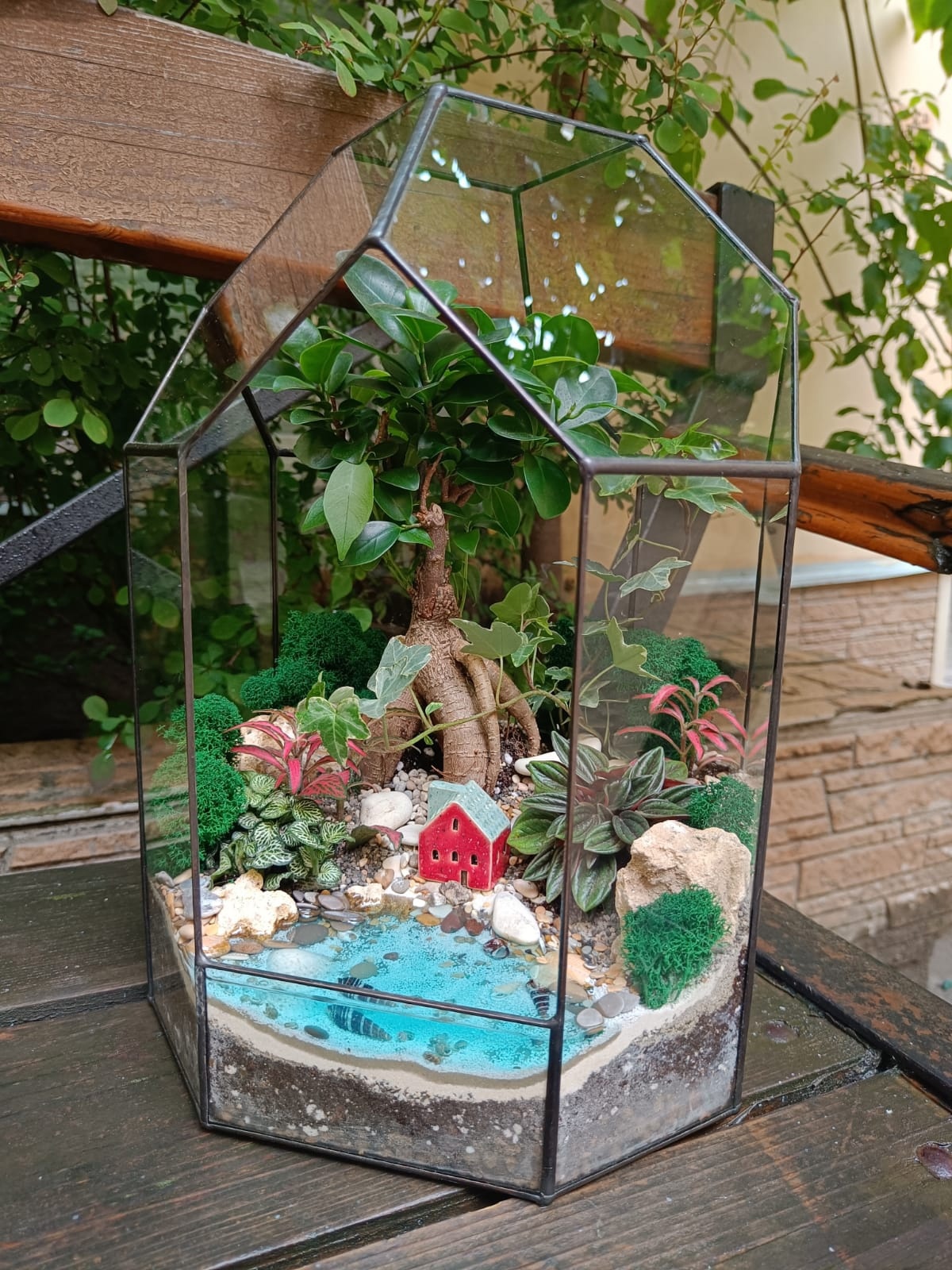 Бонсай в тепличке L с имитацией воды