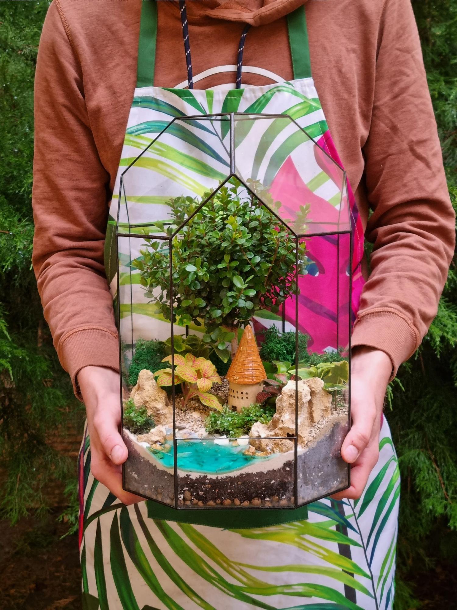 Бонсай в тепличке L с имитацией воды