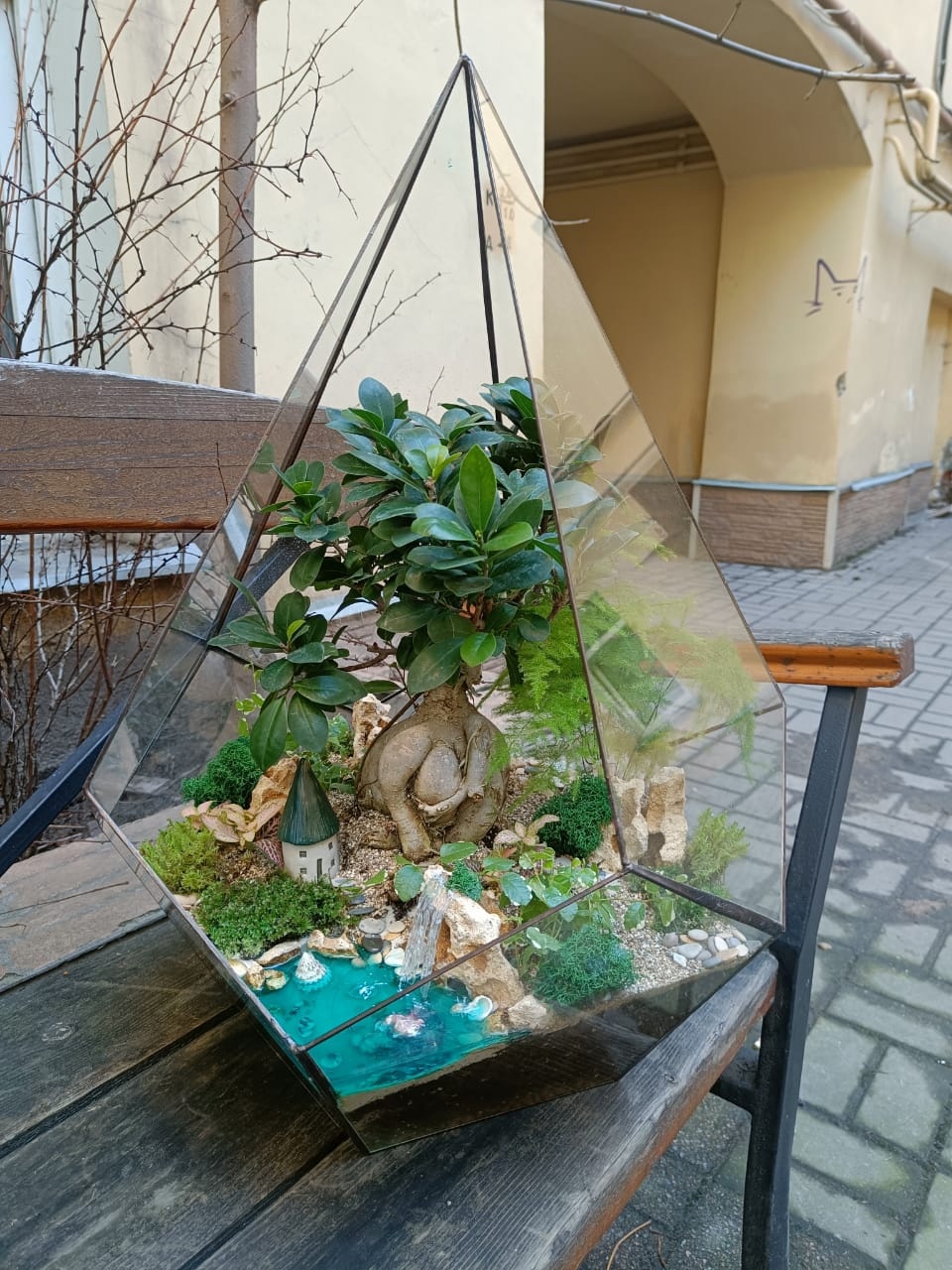 Бонсай в Капле XXL 60 см