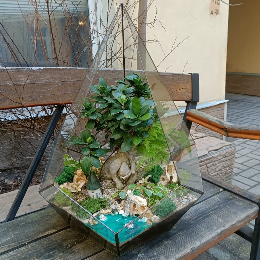 Бонсай в Капле XXL 60 см