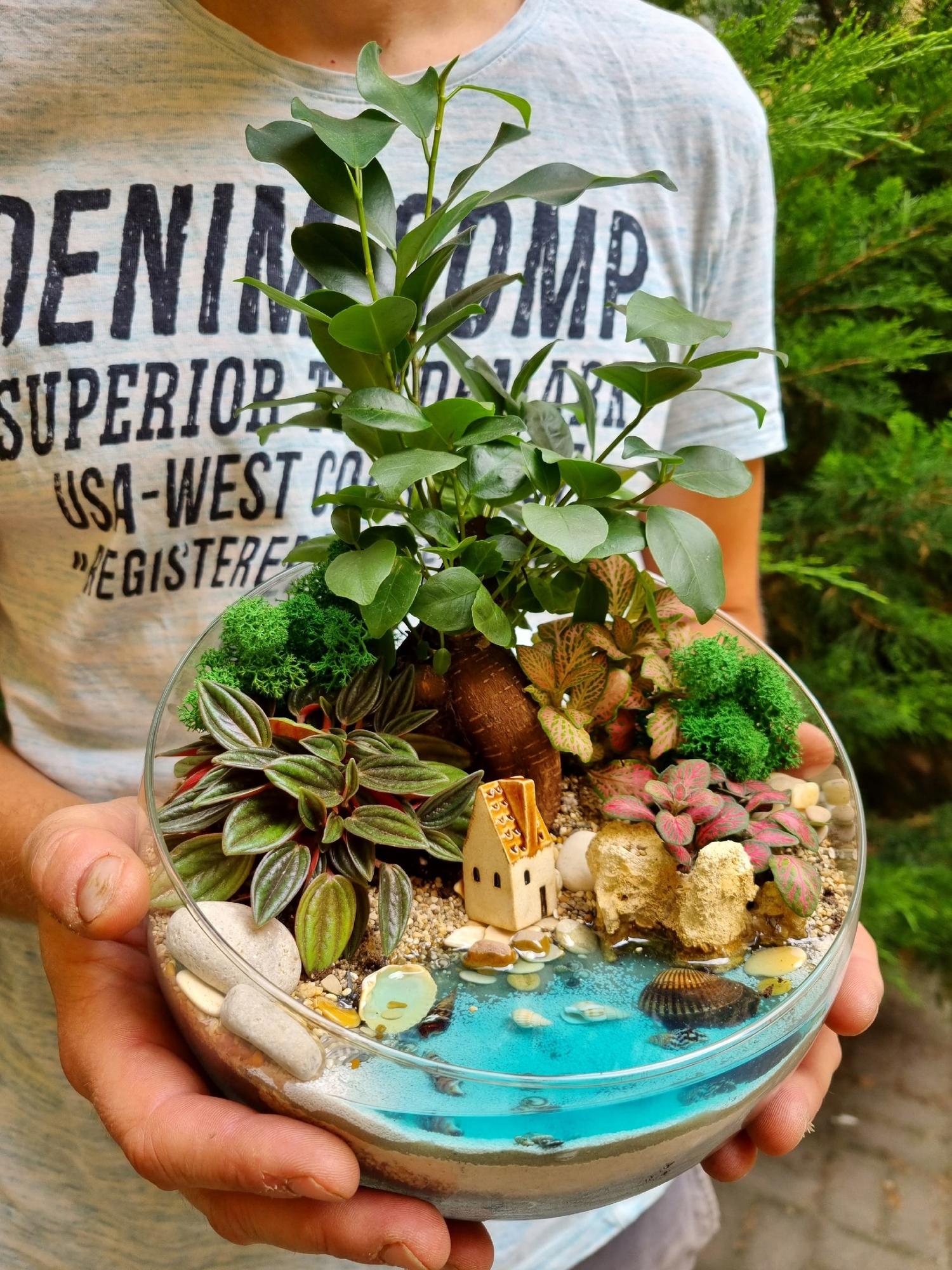 Бонсай Фикус в сфере L с имитацией воды