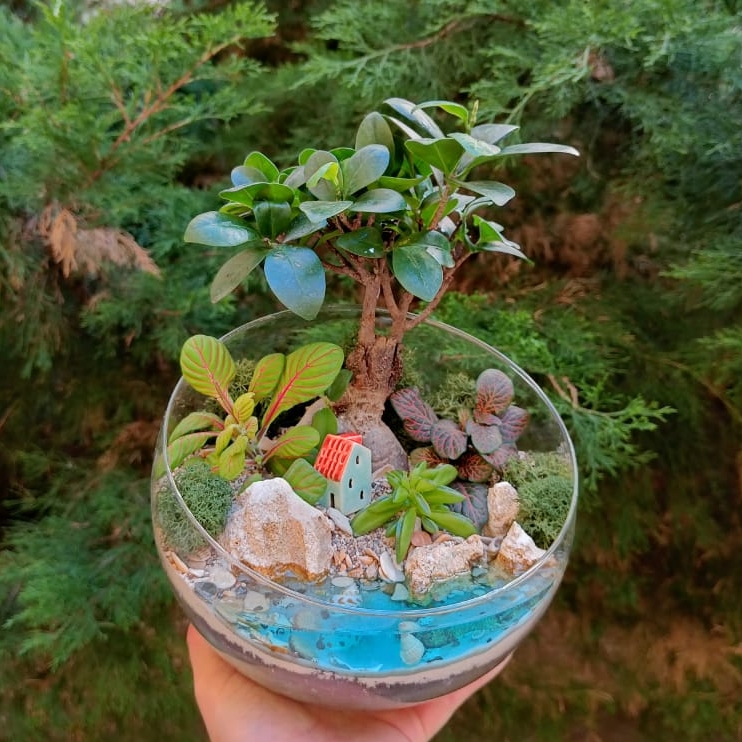 Бонсай Фикус в сфере L с имитацией воды
