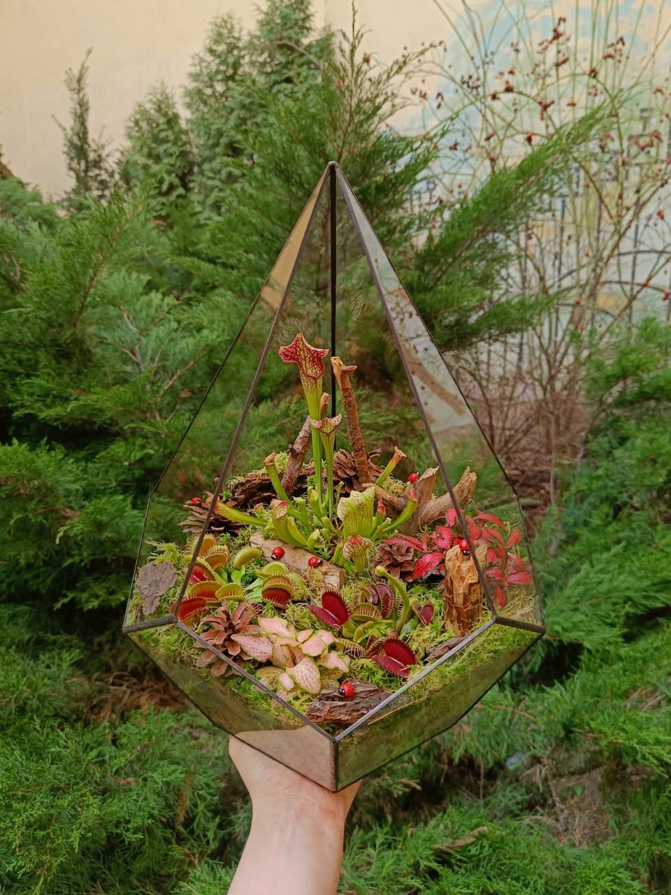 Хищная ферма №2 в капле XL 40 см