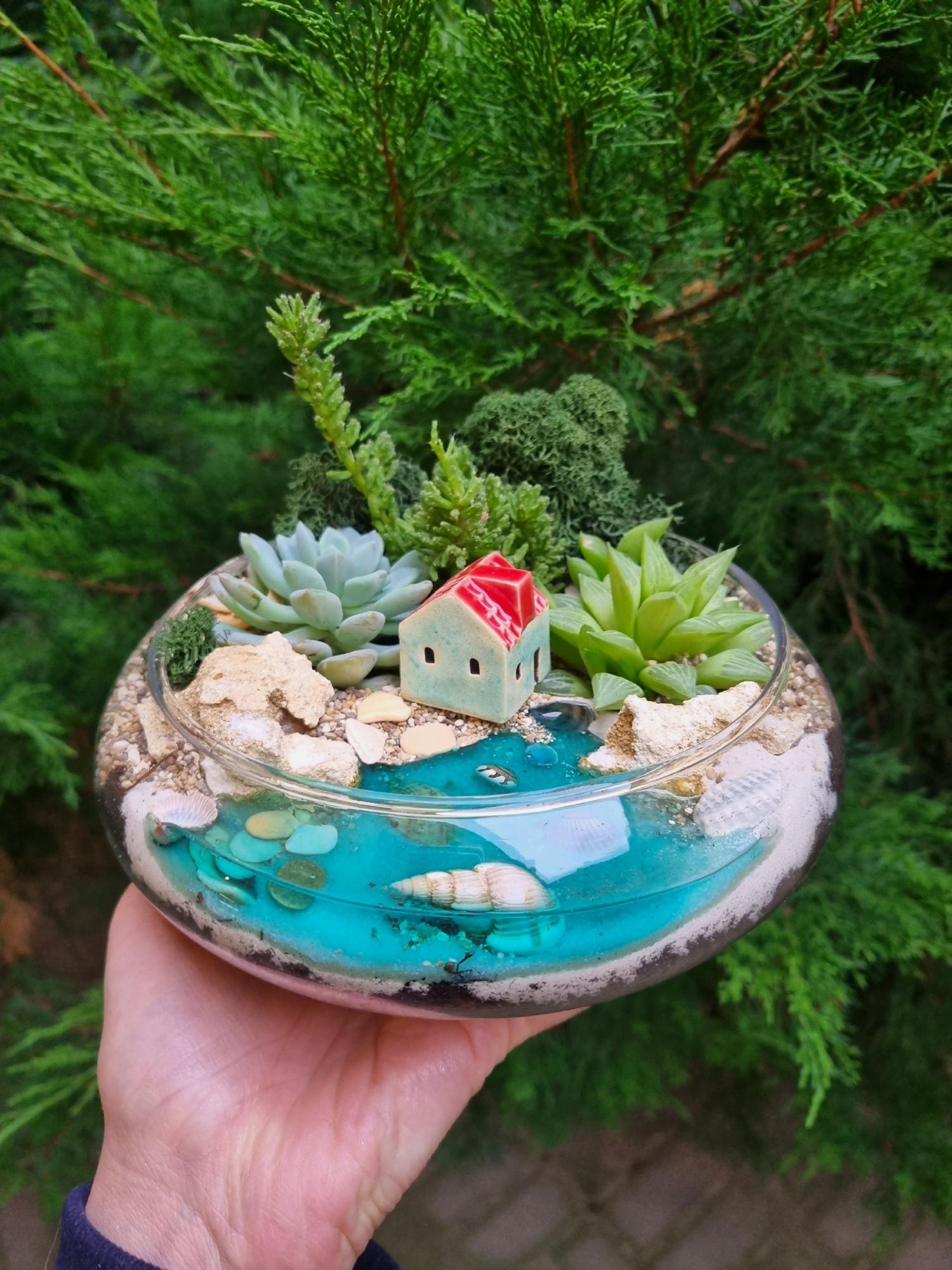 Минимир размер М в плошке