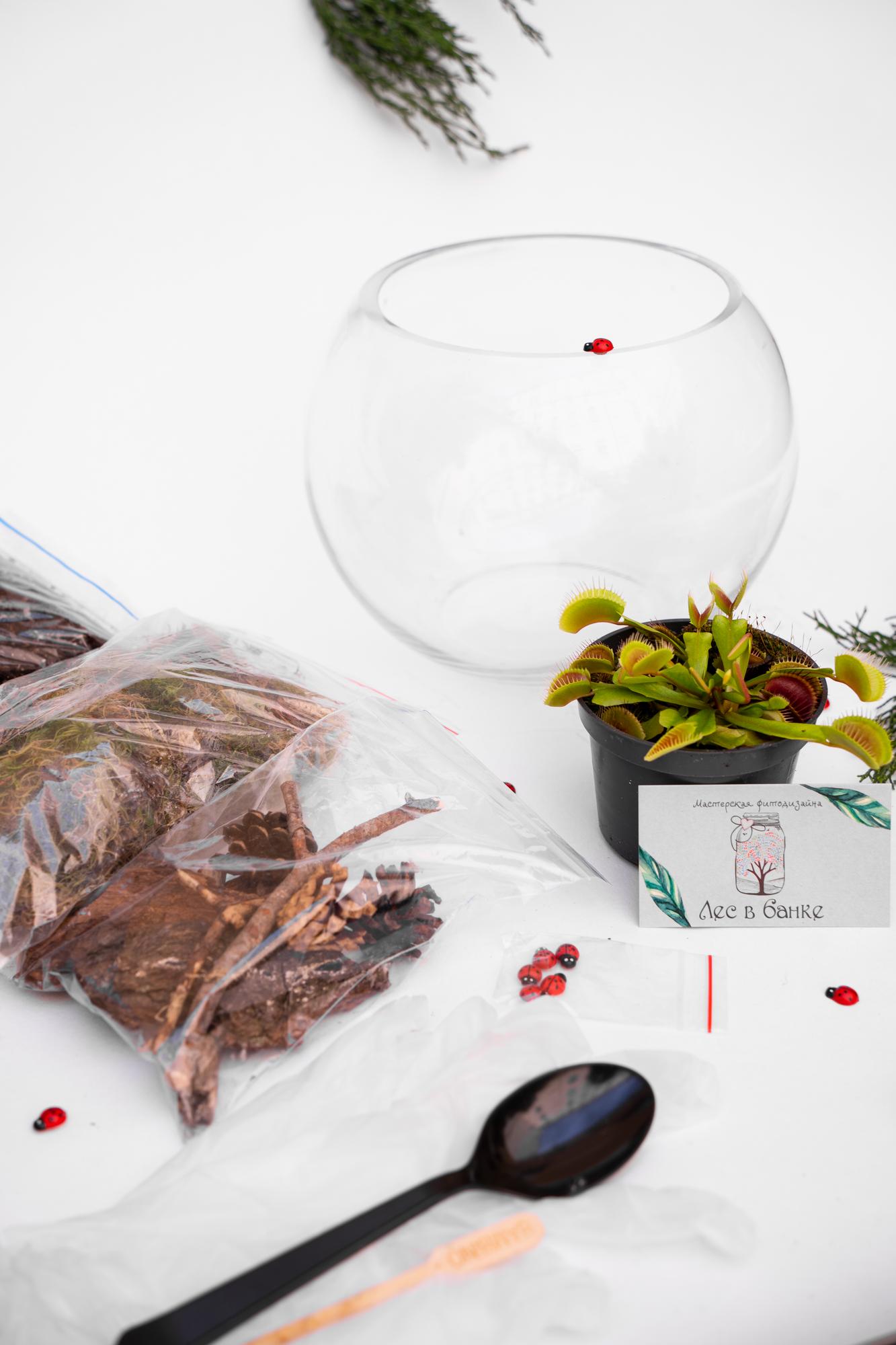 Набор "Хищник в шаре"