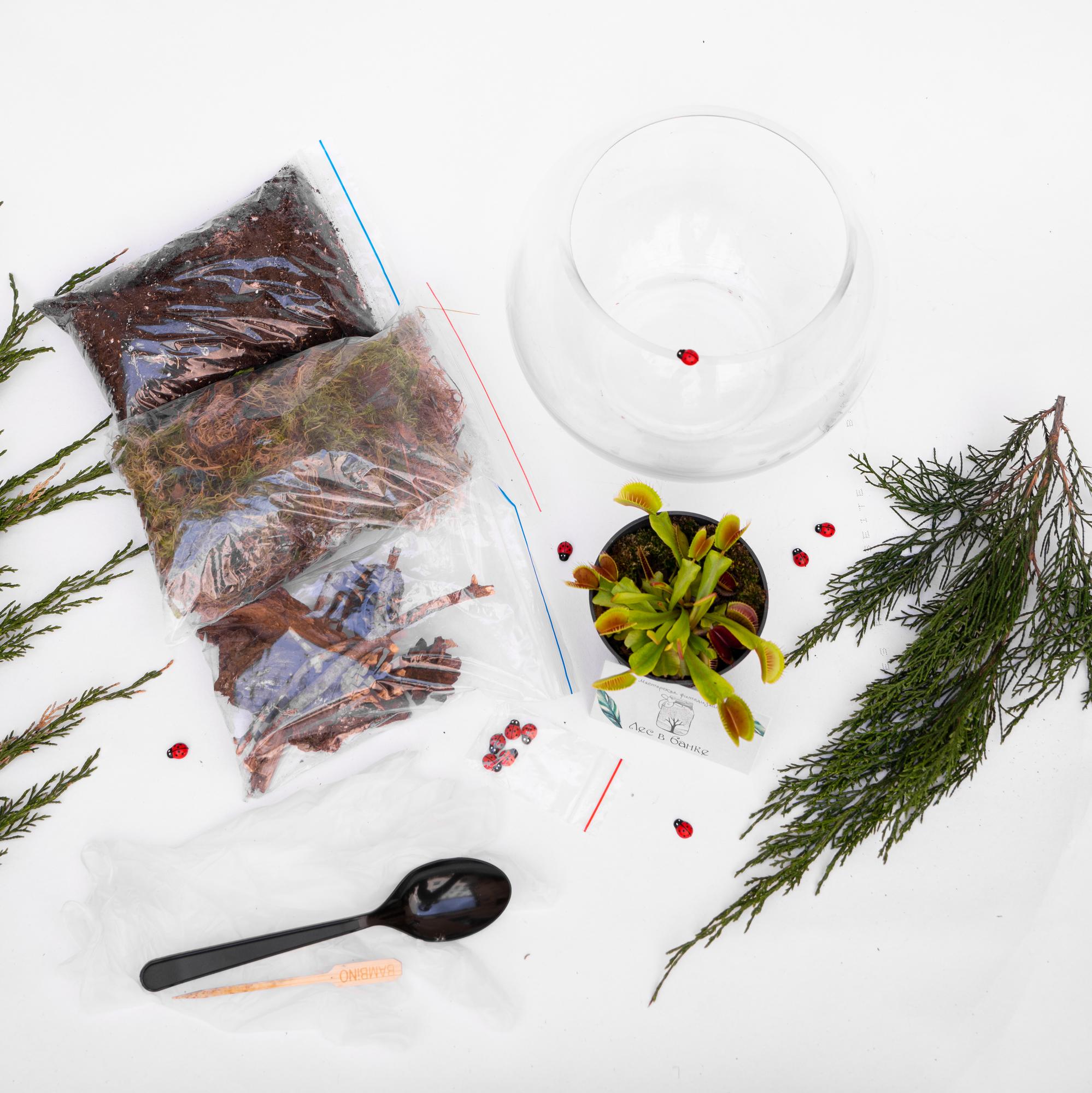 Набор "Хищник в шаре"