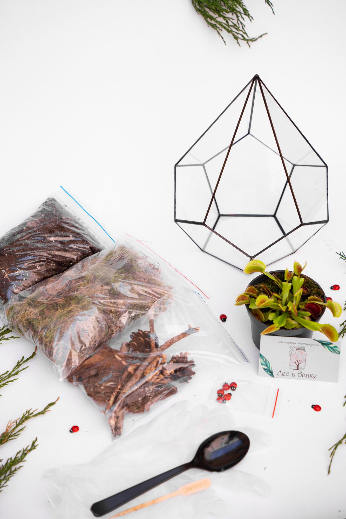 Набор "Хищник в капле М"