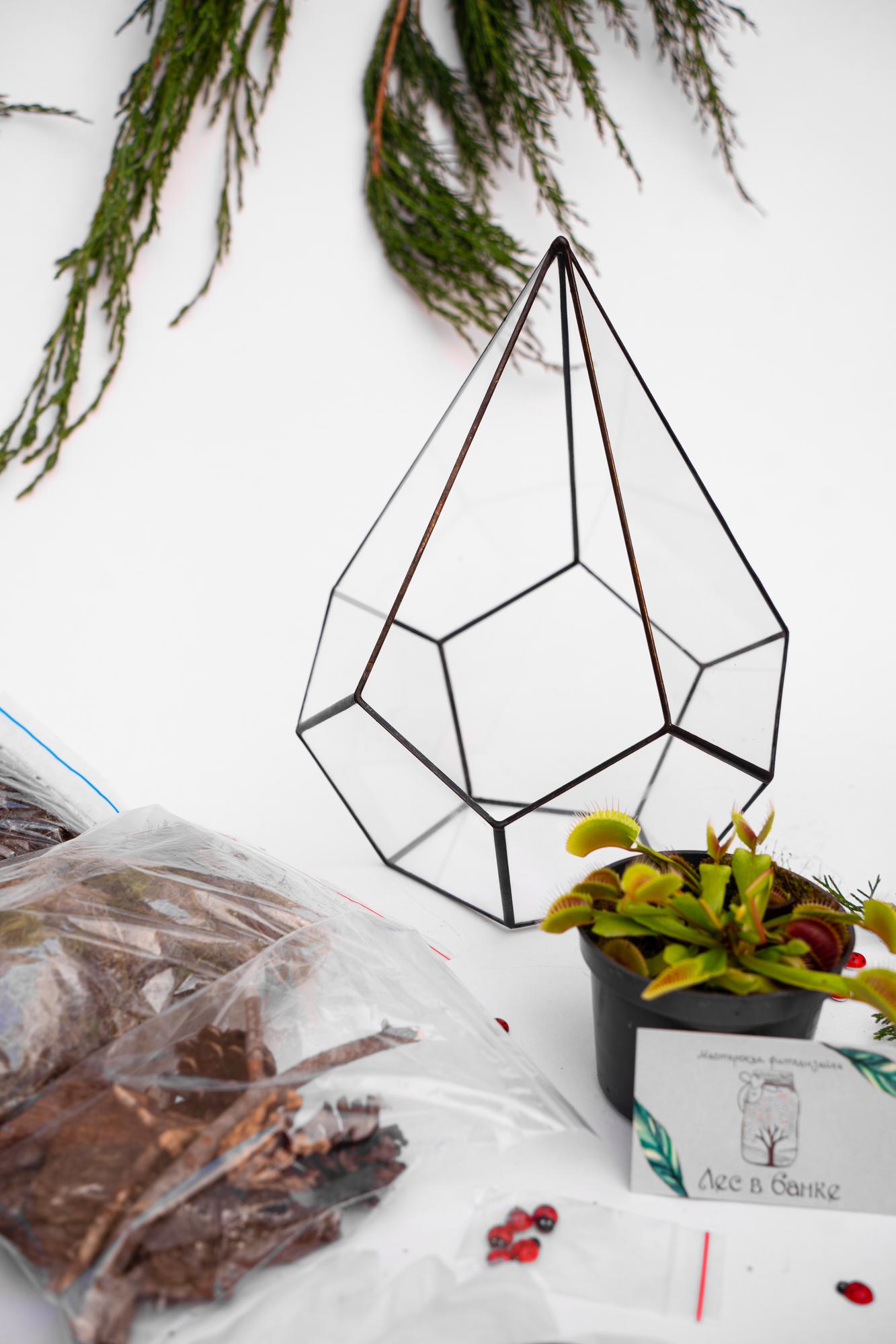 Набор "Хищник в капле М"