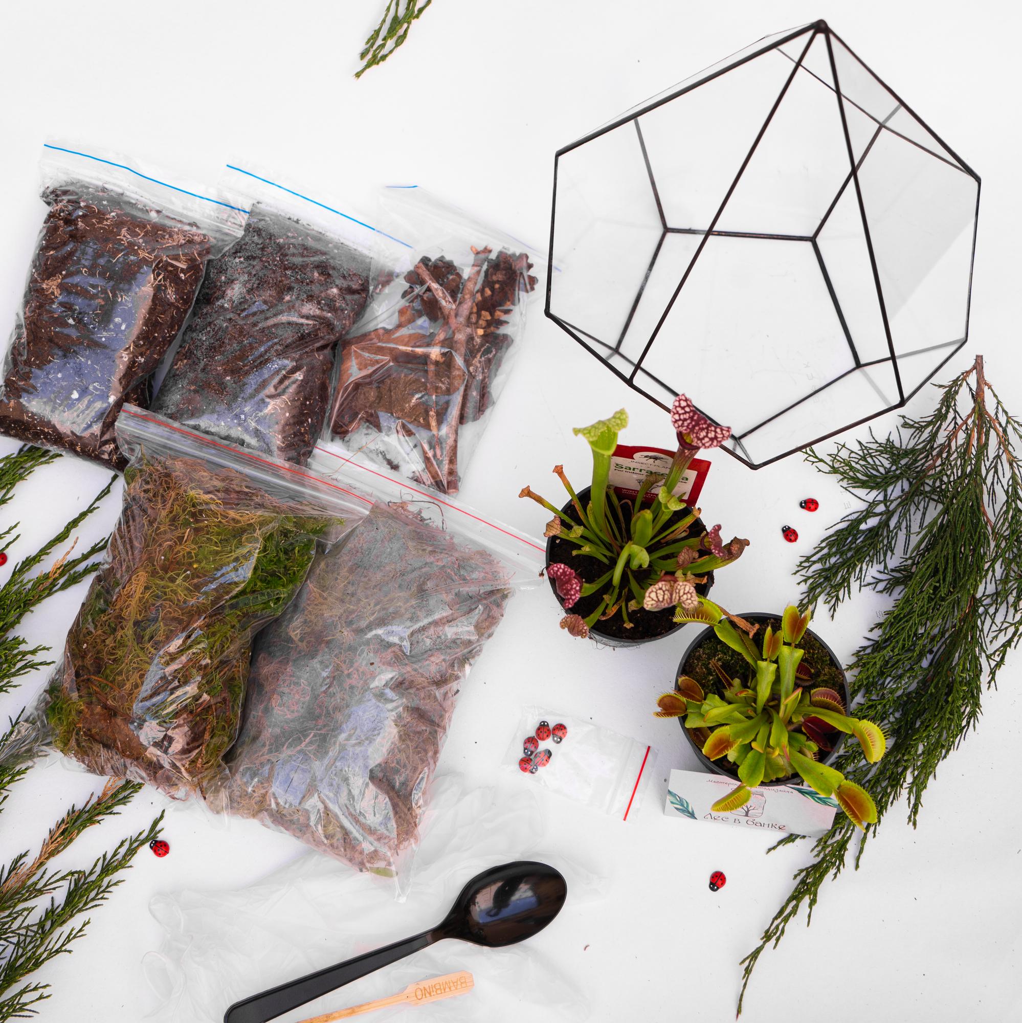 Набор "Хищная ферма в капле L"